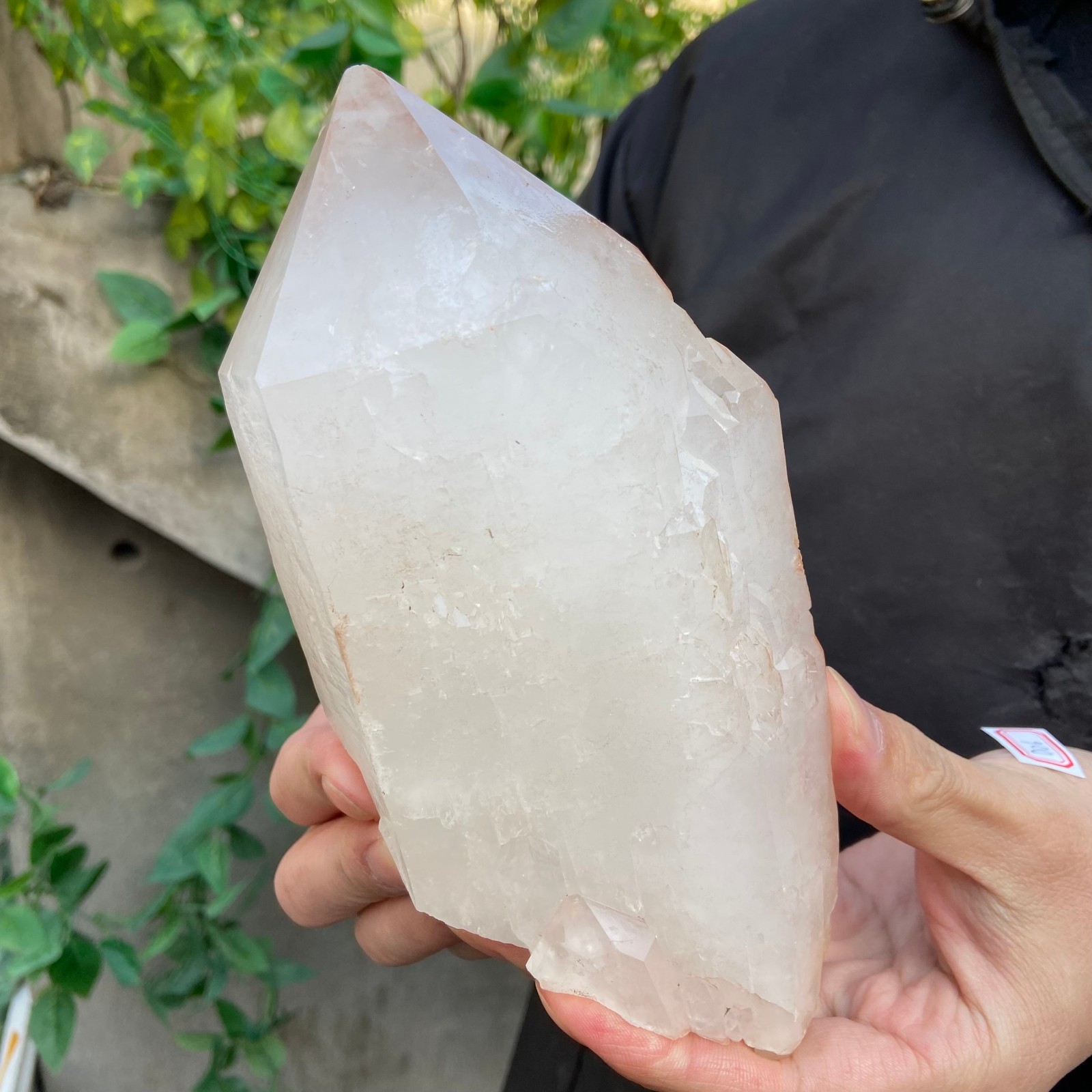 3.5lb Natural Clear White Quartz Crystal point Rough Healing Specimen
