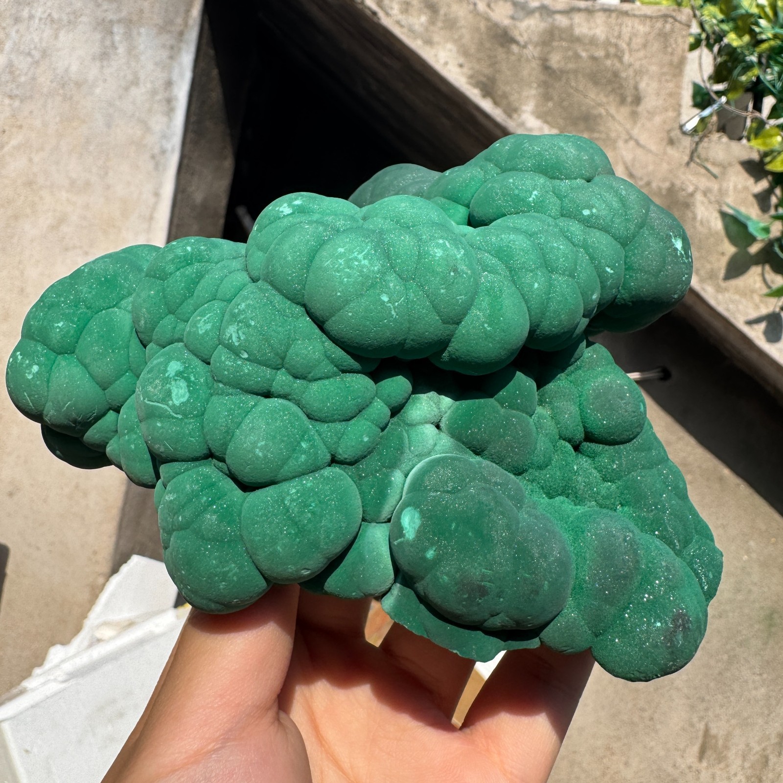 1180G Natural Malachite crystal quartz Mineral Specimen Reiki congo