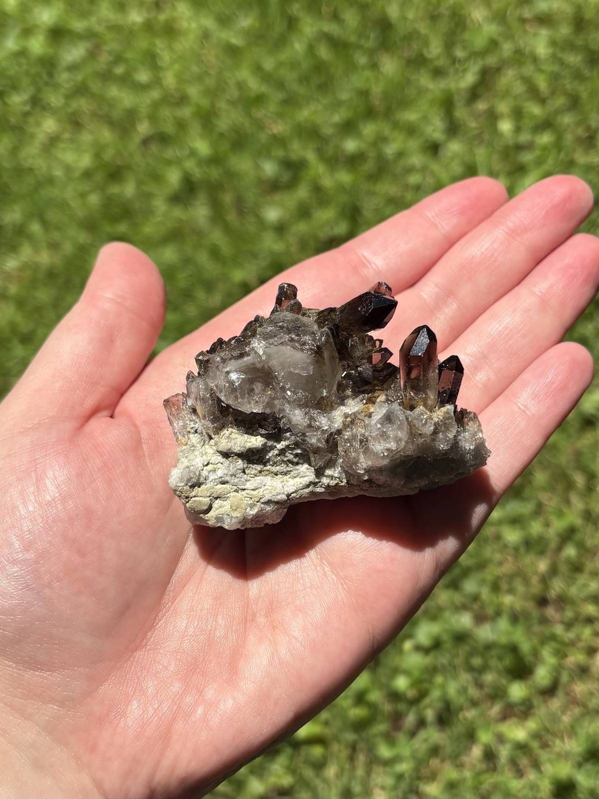 Smoky Quartz Crystal Cluster- Natural 2.1 Dark Brown Smoky Quartz Points Cluster