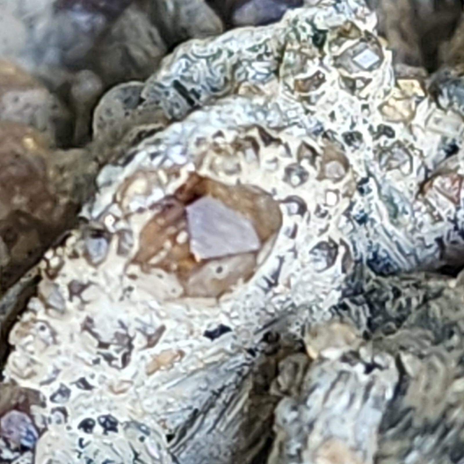 Fine Gemmy Grossular Garnet var Hessonite On Matrix from Italy Ex Kay Robertson
