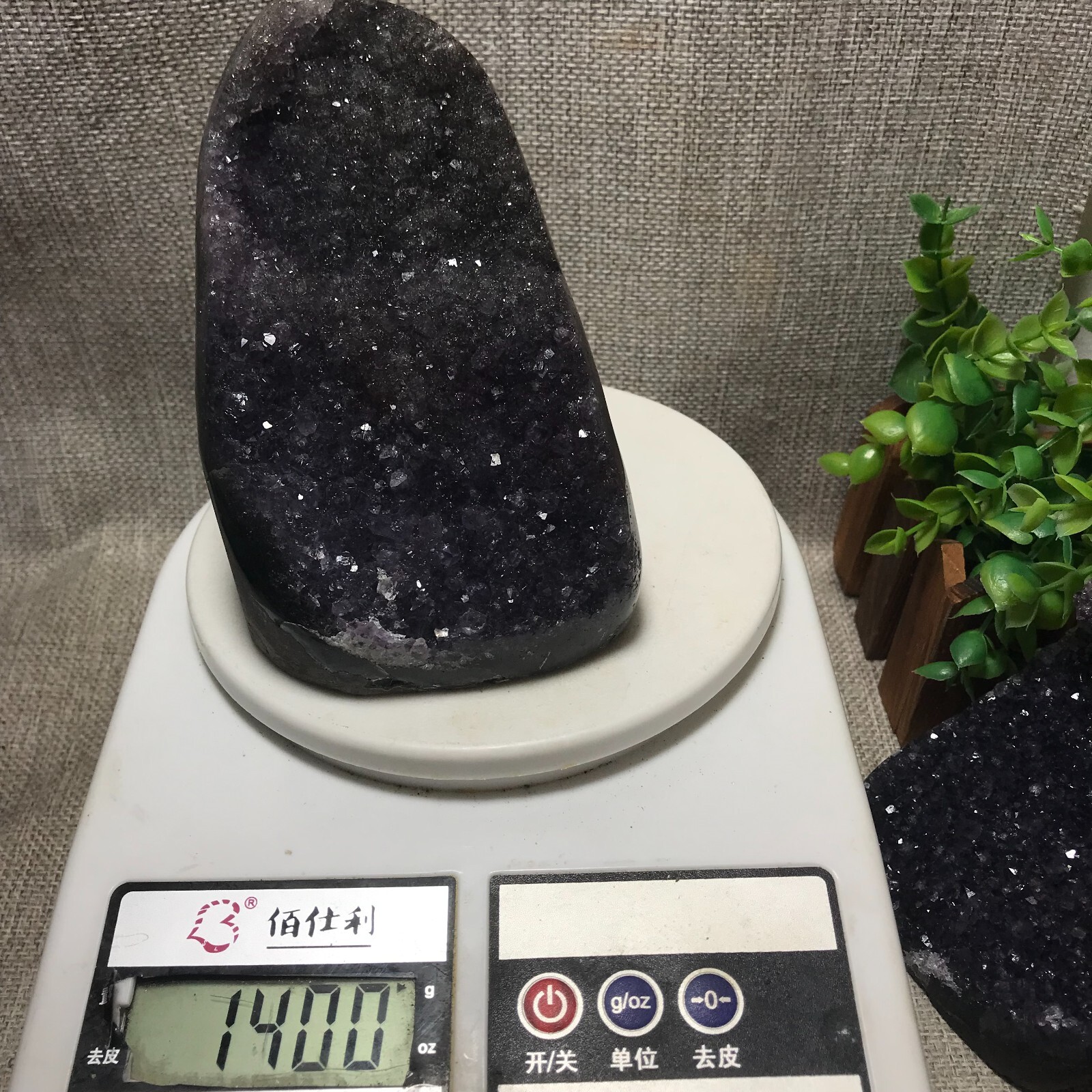 1400g Natural Amethyst Cluster Geodes Cut Base Quartz Crystal Healing 35
