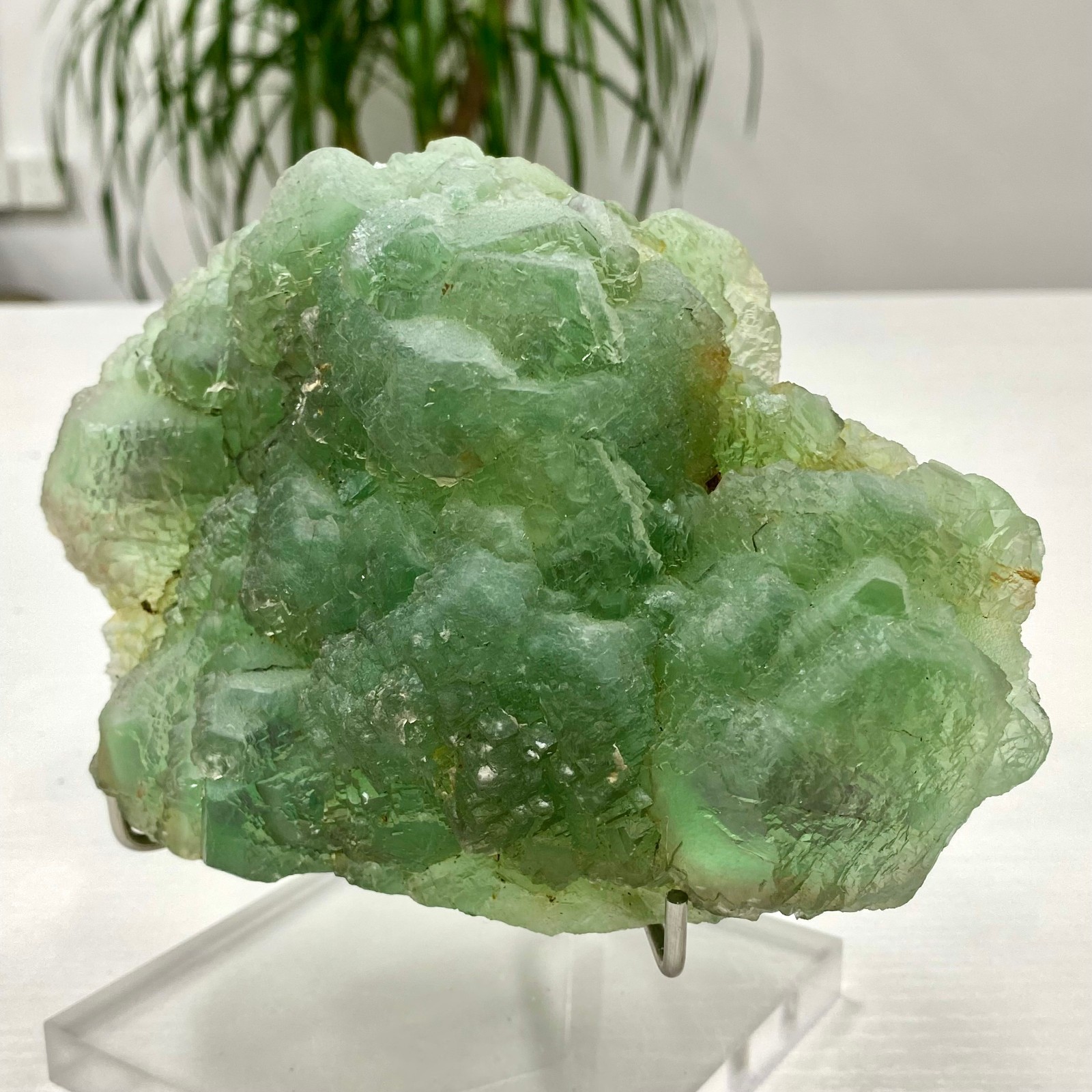 3.64LB Natural transparent green cubic fluorite mineral crystal sample/China