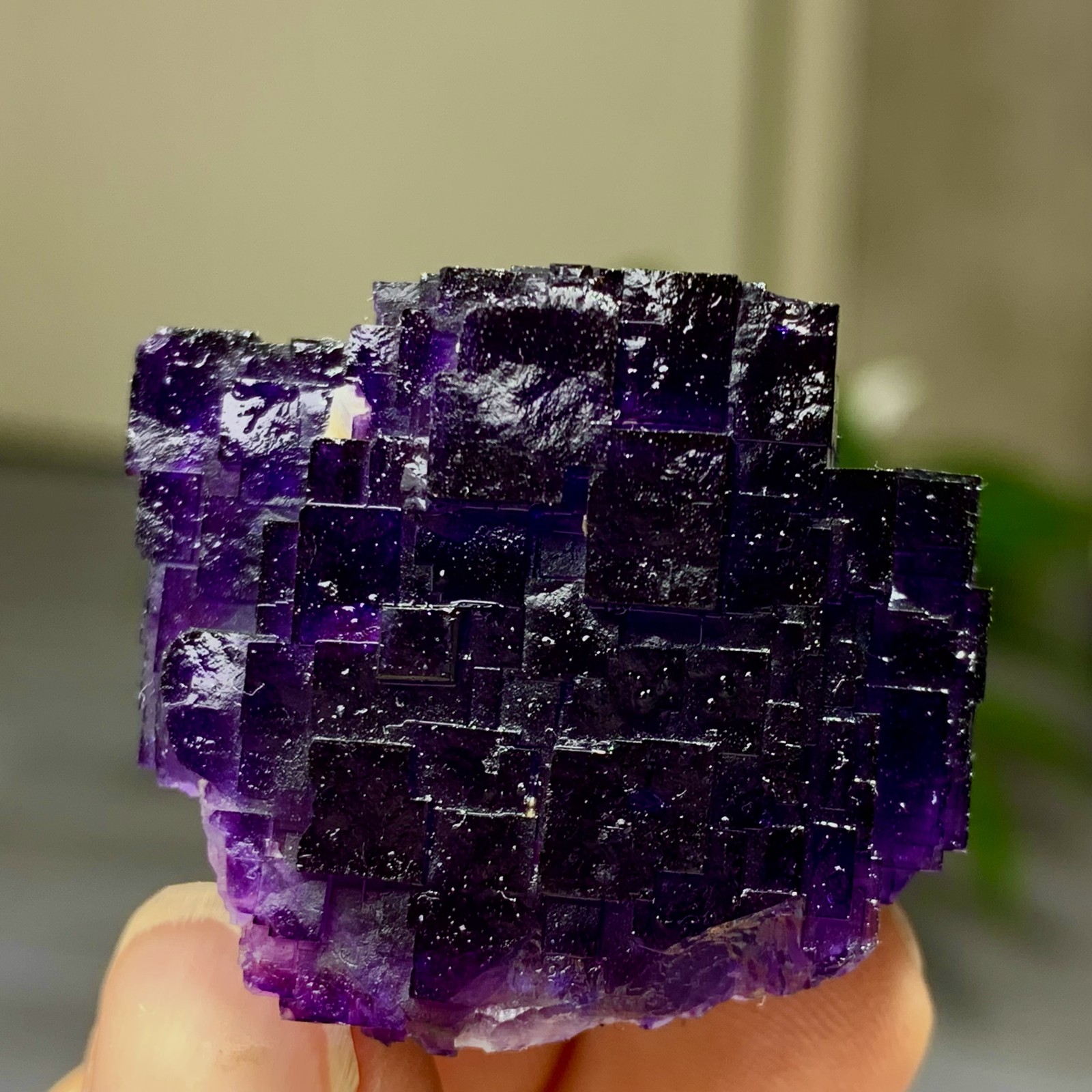 40G Natural purple framed cubic fluorite mineral specimen/Inner Mongolia