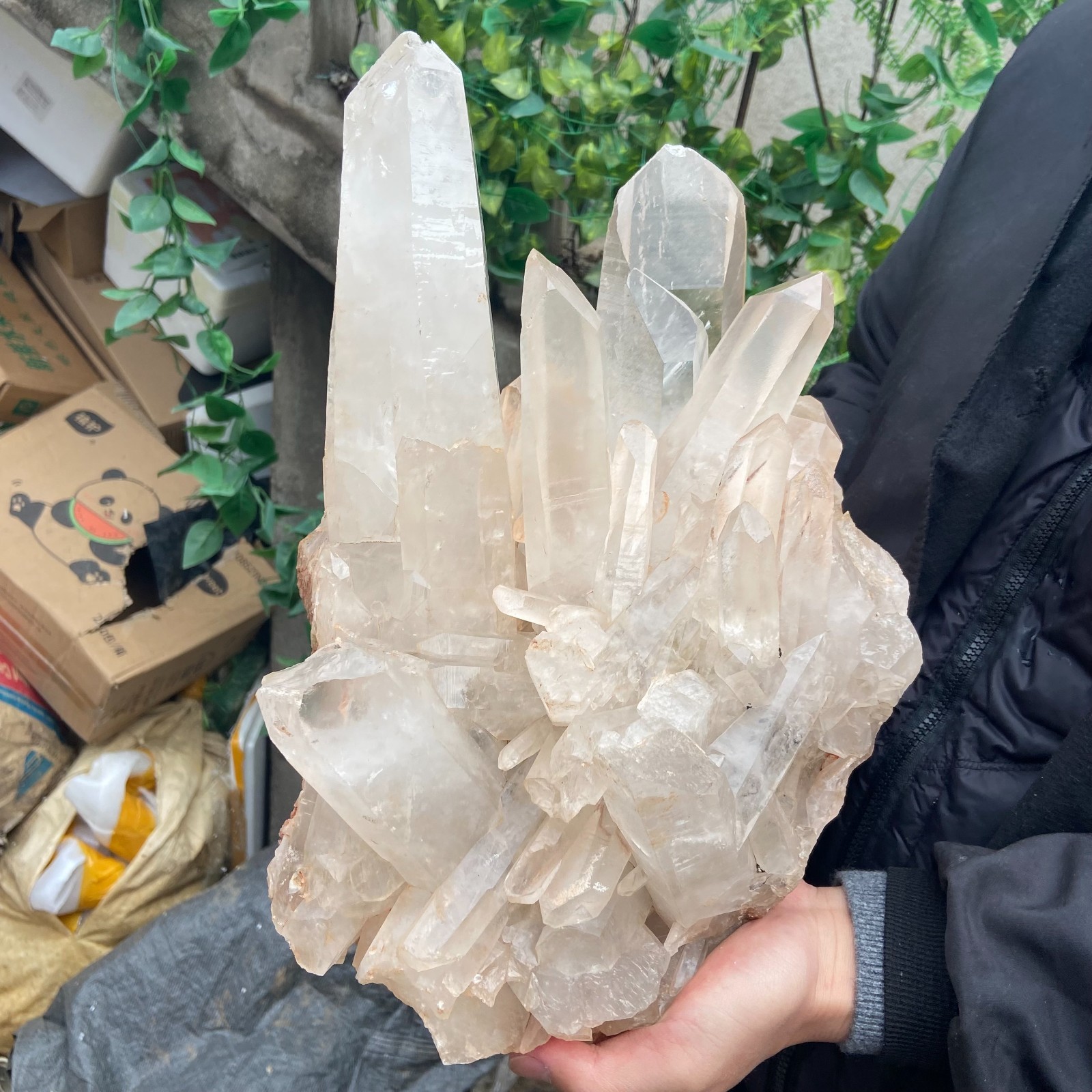 29.9lb Natural Clear White Crystal Quartz Cluster Rough Healing Specimen
