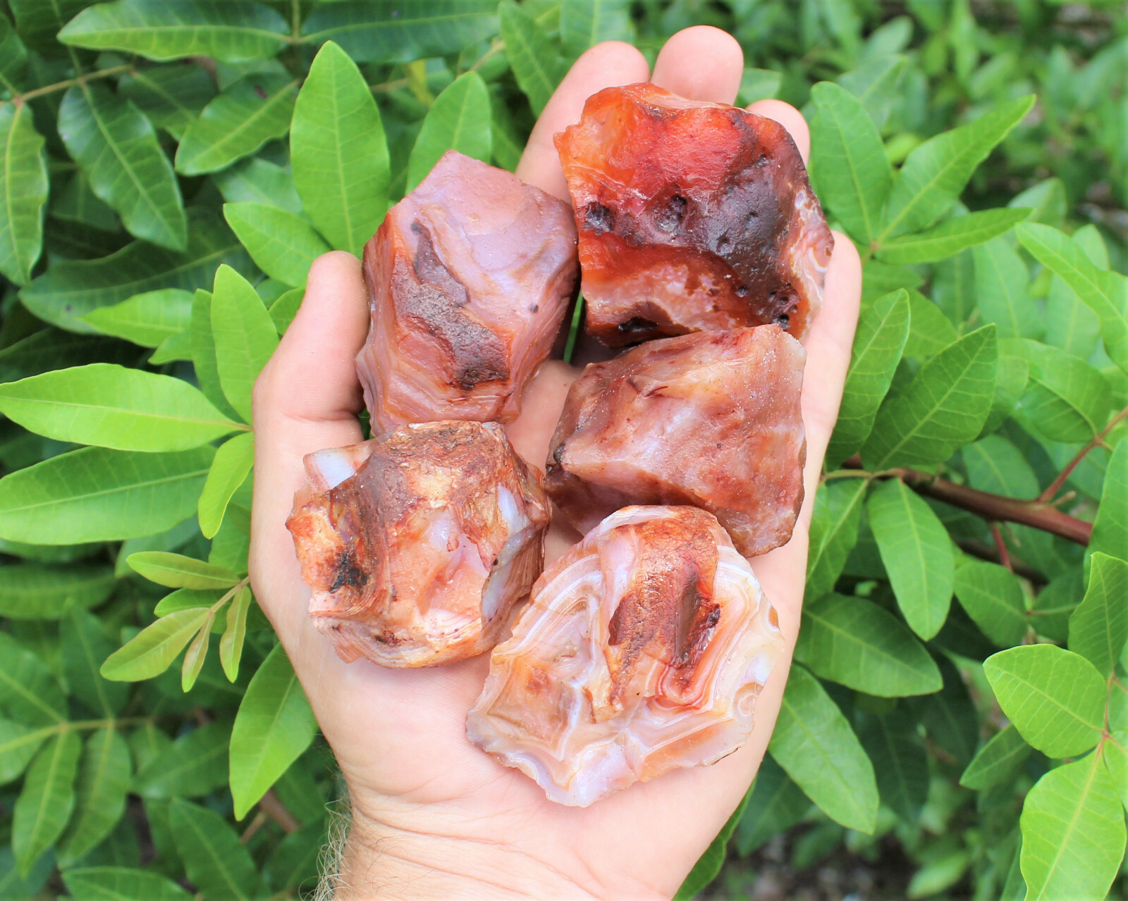 LARGE Rough Carnelain Chunks, 2″ – 3″: ‘A’ Grade, Raw Carnelian