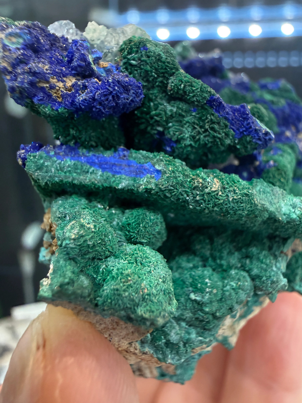 Azurite, Malachite ps Selenite, Calcite- Apex Mine, Washington County, Utah, USA