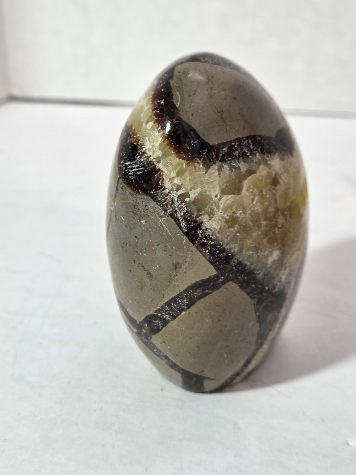 Septarian Polished Egg Prime Specimen Crystal Stone Mineral 8.61 Grams