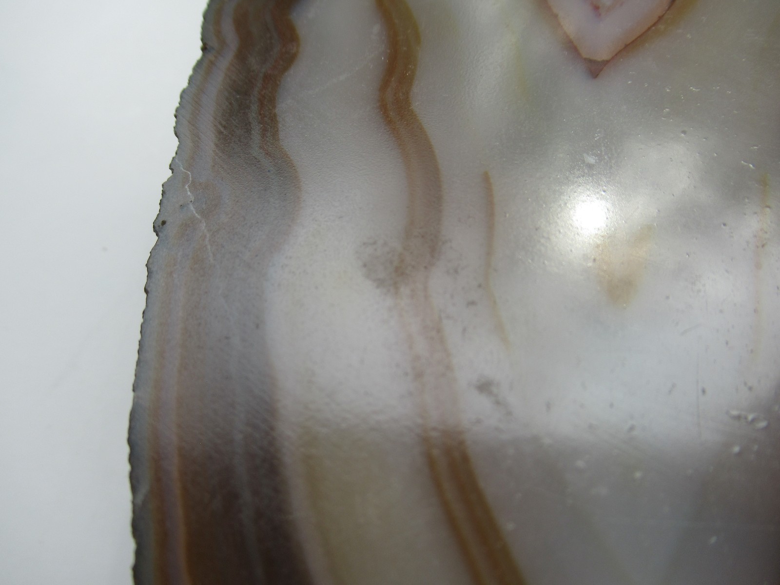 Vintage 10″ Tall Agate Slice on Brass Stand, Marked India, Stone Display Piece