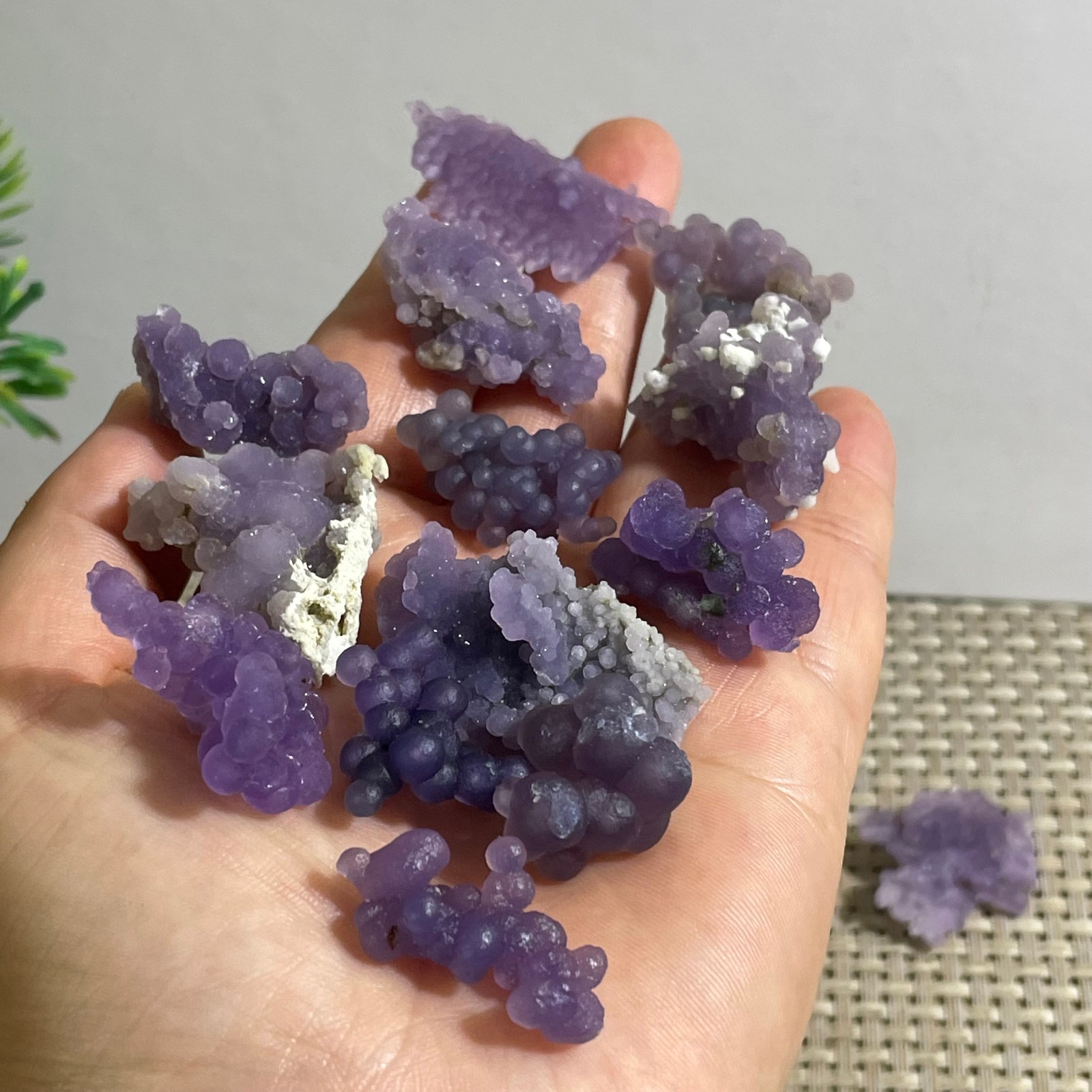 71g Purple stone, grape agate, quartz crystal, granular mineral 12pcs