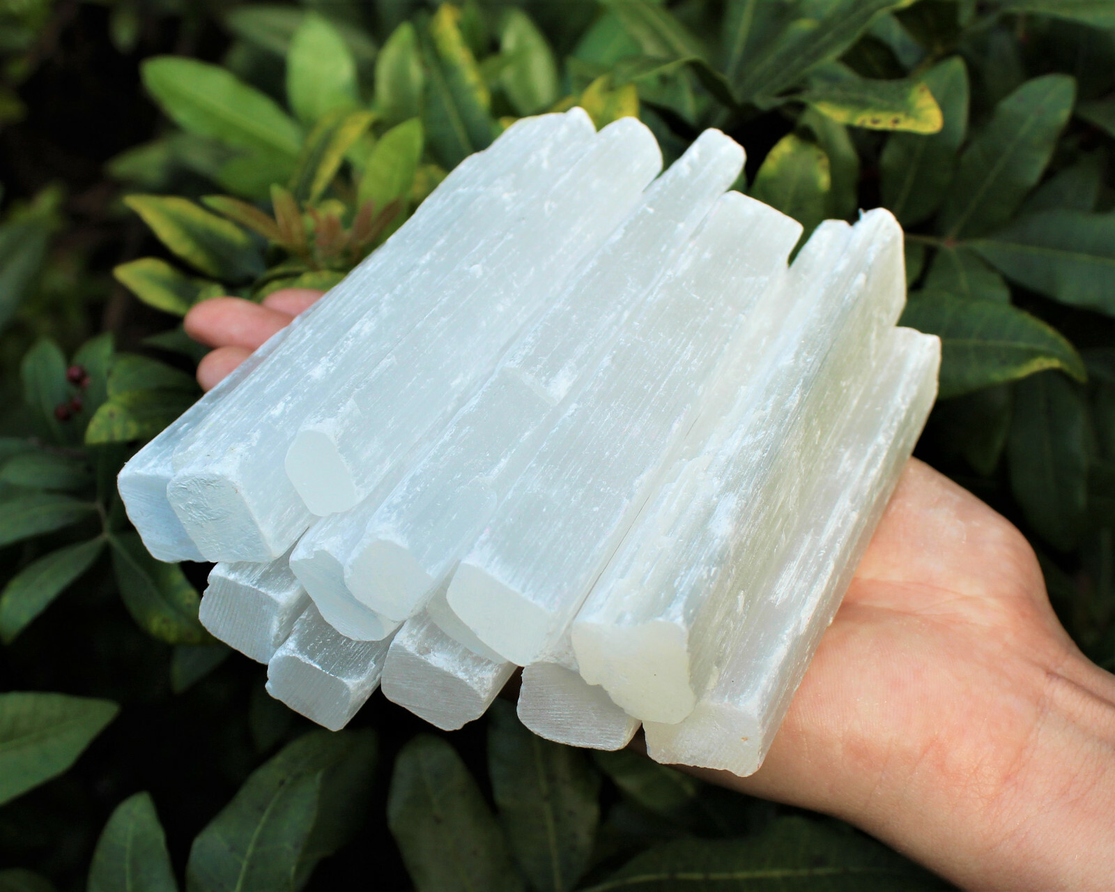 15 lb Bulk Wholesale Lot 5″ Selenite Sticks (Raw Selenite Crystal Wands, Logs)