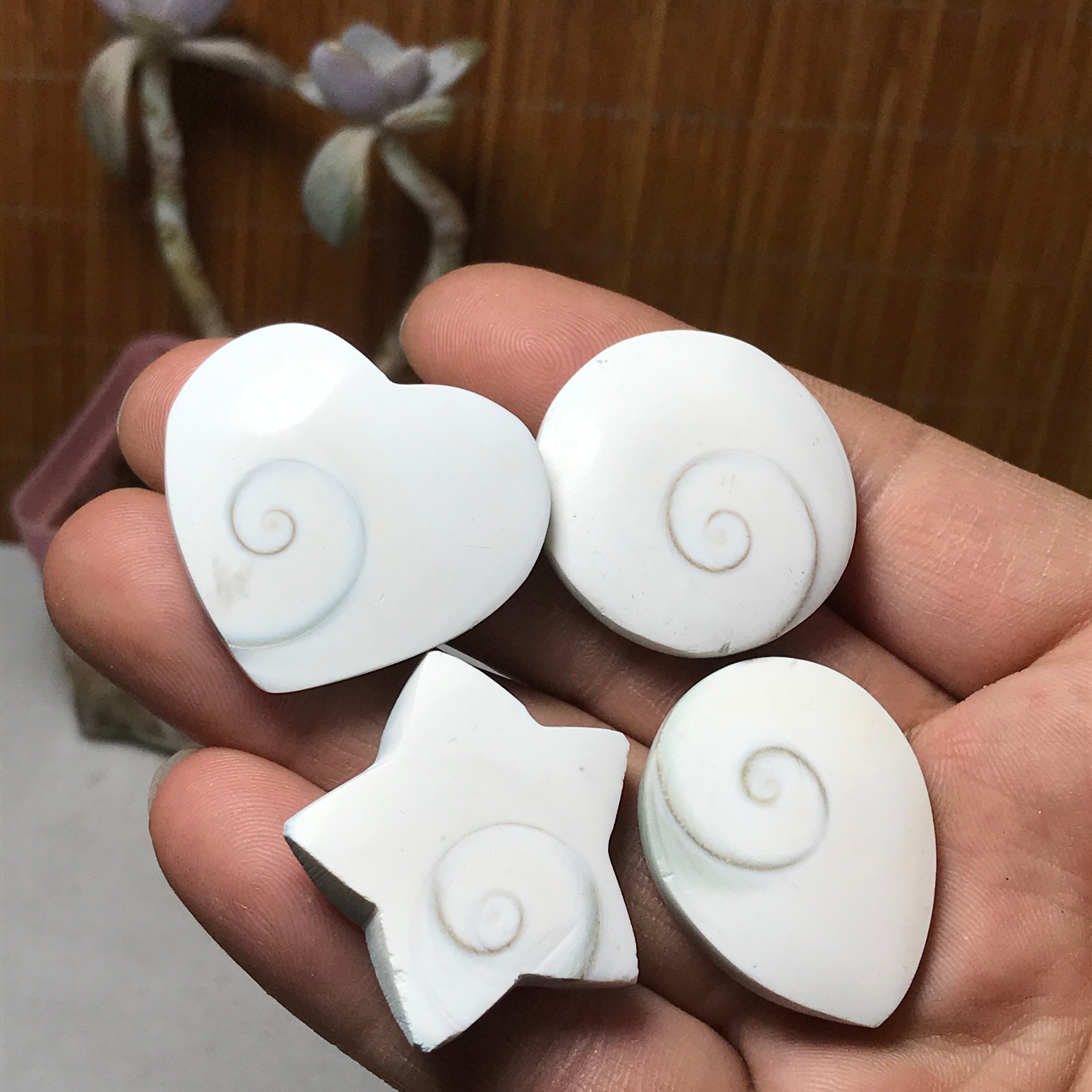 4Pcs Natural sun shell star Heart Reiki Shiva Eye ocean quartz carve A3340