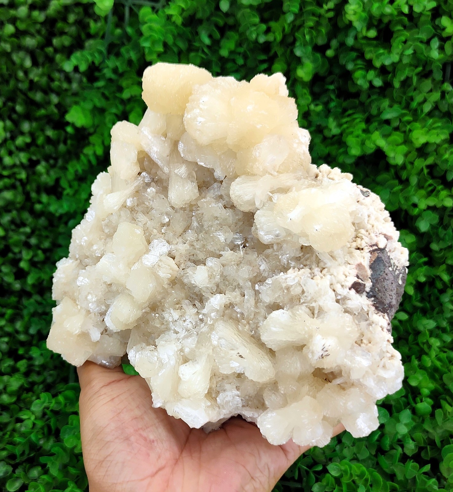 Big Natural Bow Tie Stilbite Cluster On Heulandite Minerals #51