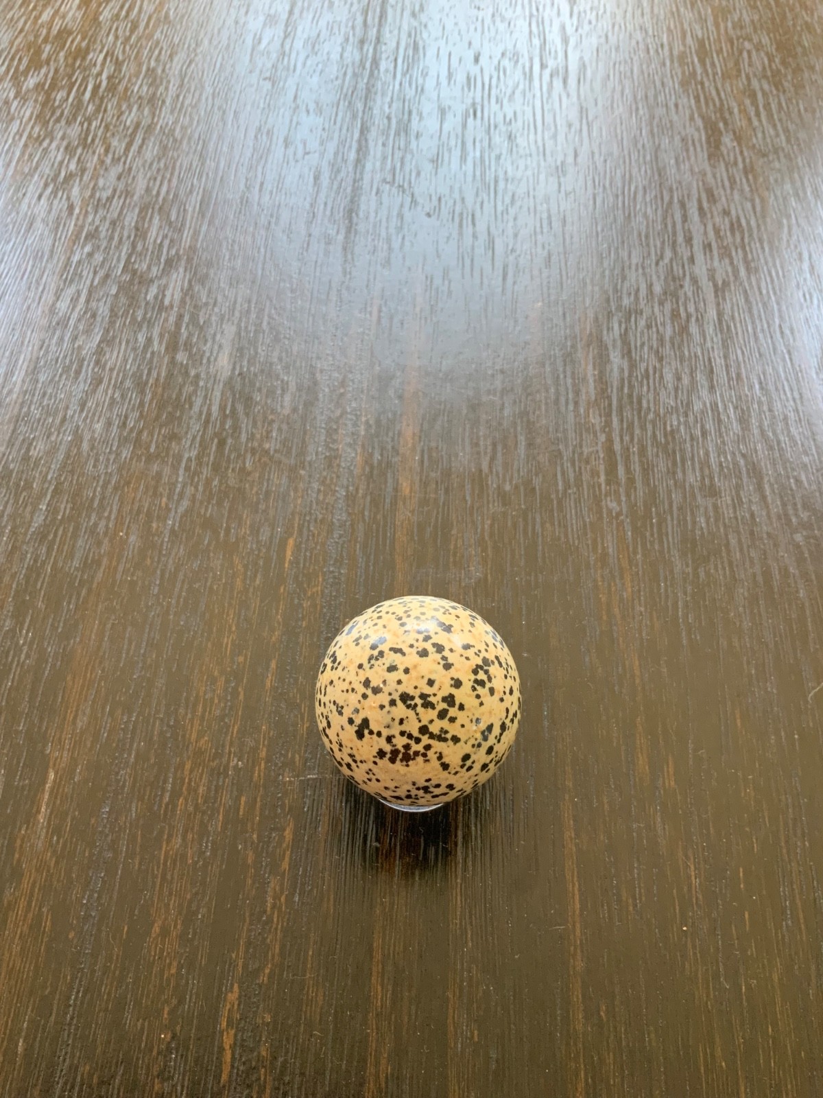 Dalmation Stone Sphere Polished Gemstone Crystal 175g- 6.2 oz