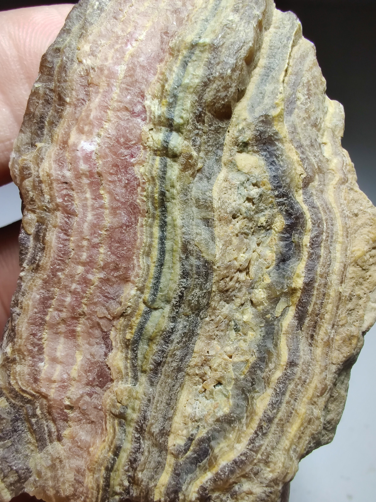 Rhodochrosite, banded layers. Capillitas, Argentina. 141 grams.