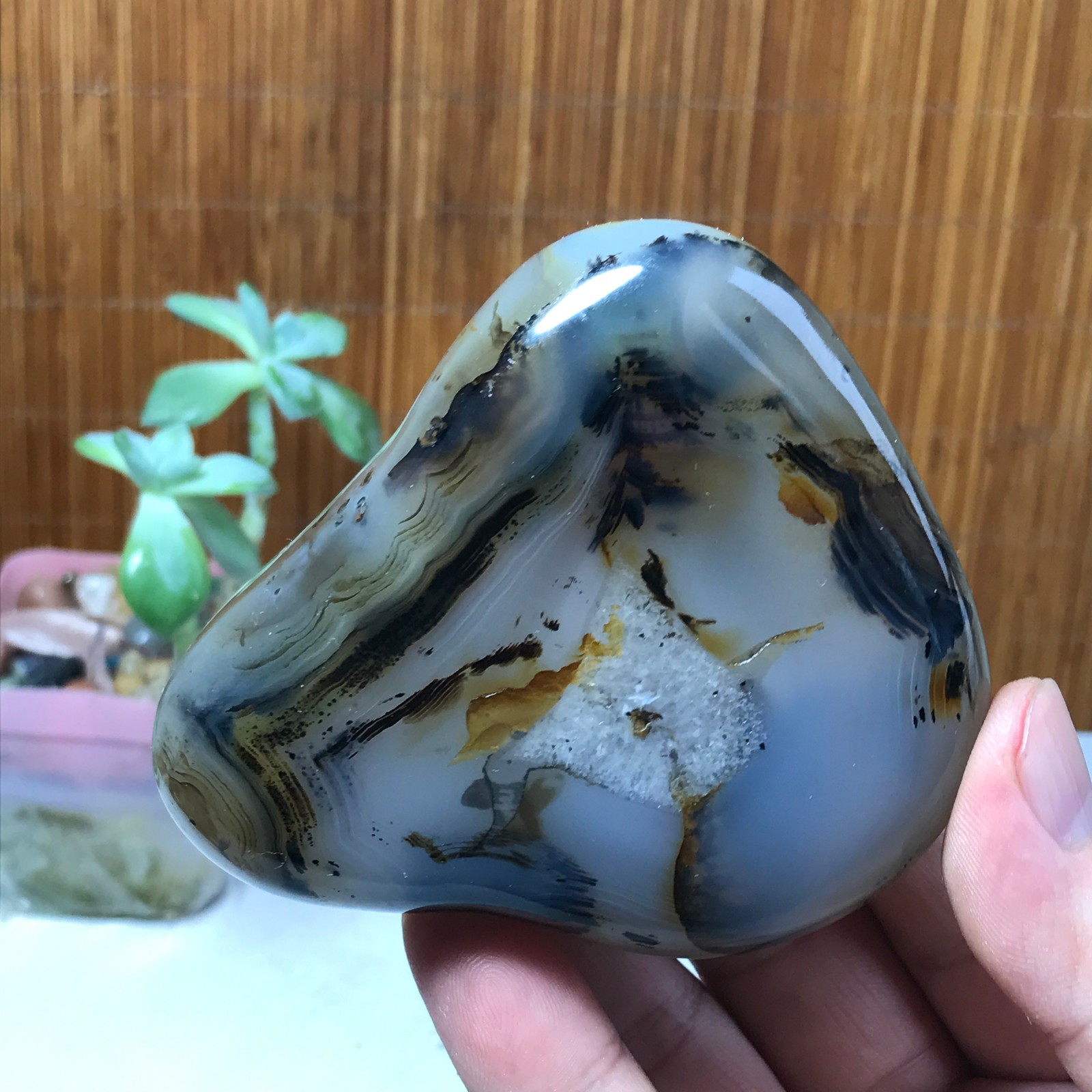 86-75-34mm Natural aquatic plants agate pretty Crystal specimens 300g A1638