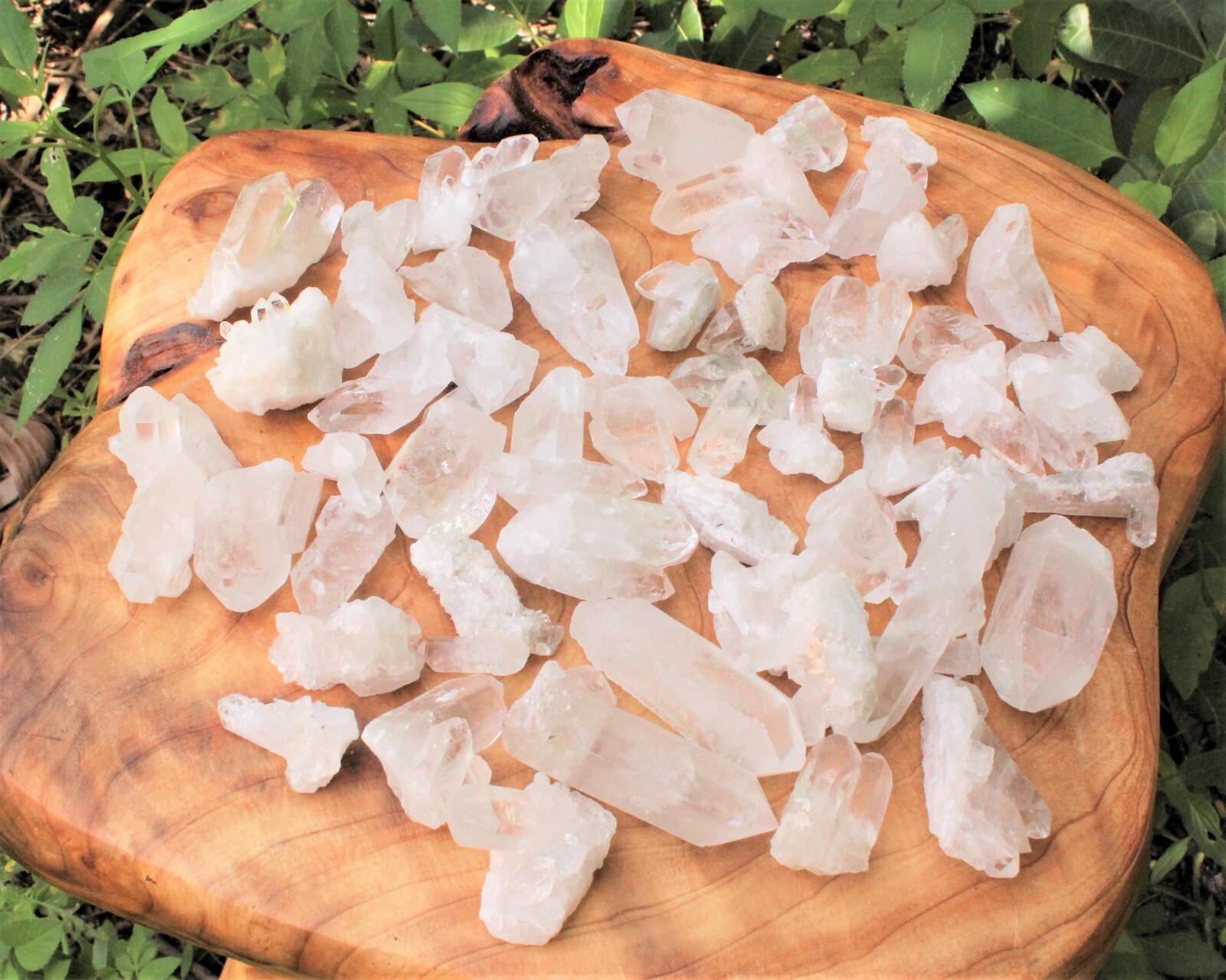 Natural MINI Clear Quartz Crystal Clusters Wholesale Bulk Lots (Premium Quality)