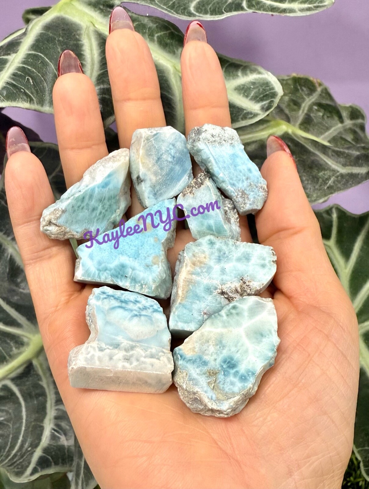 Wholesale Lot 1/2 Lb Natural Larimar Small Slabs Crystal Healing Energy