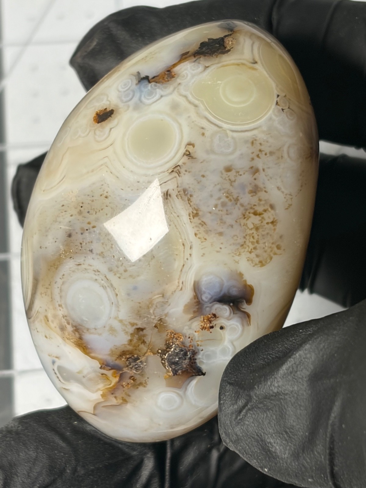 Excellent Agate Palm Stone Dendritic Orbs Banding