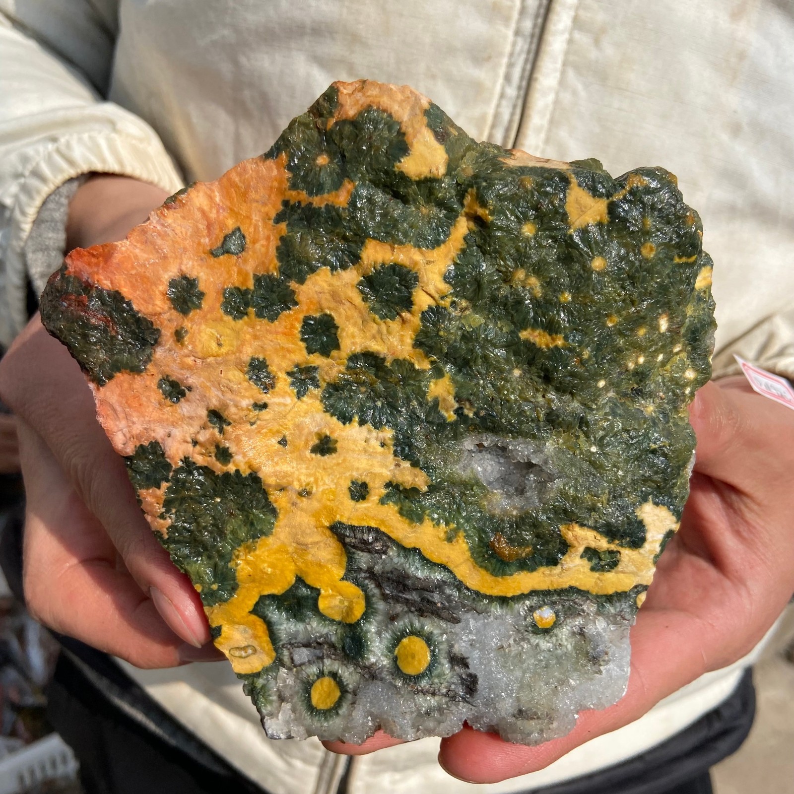 2.7lb Natural colourful ocean jasper raw stone crystal rough mineral specimen