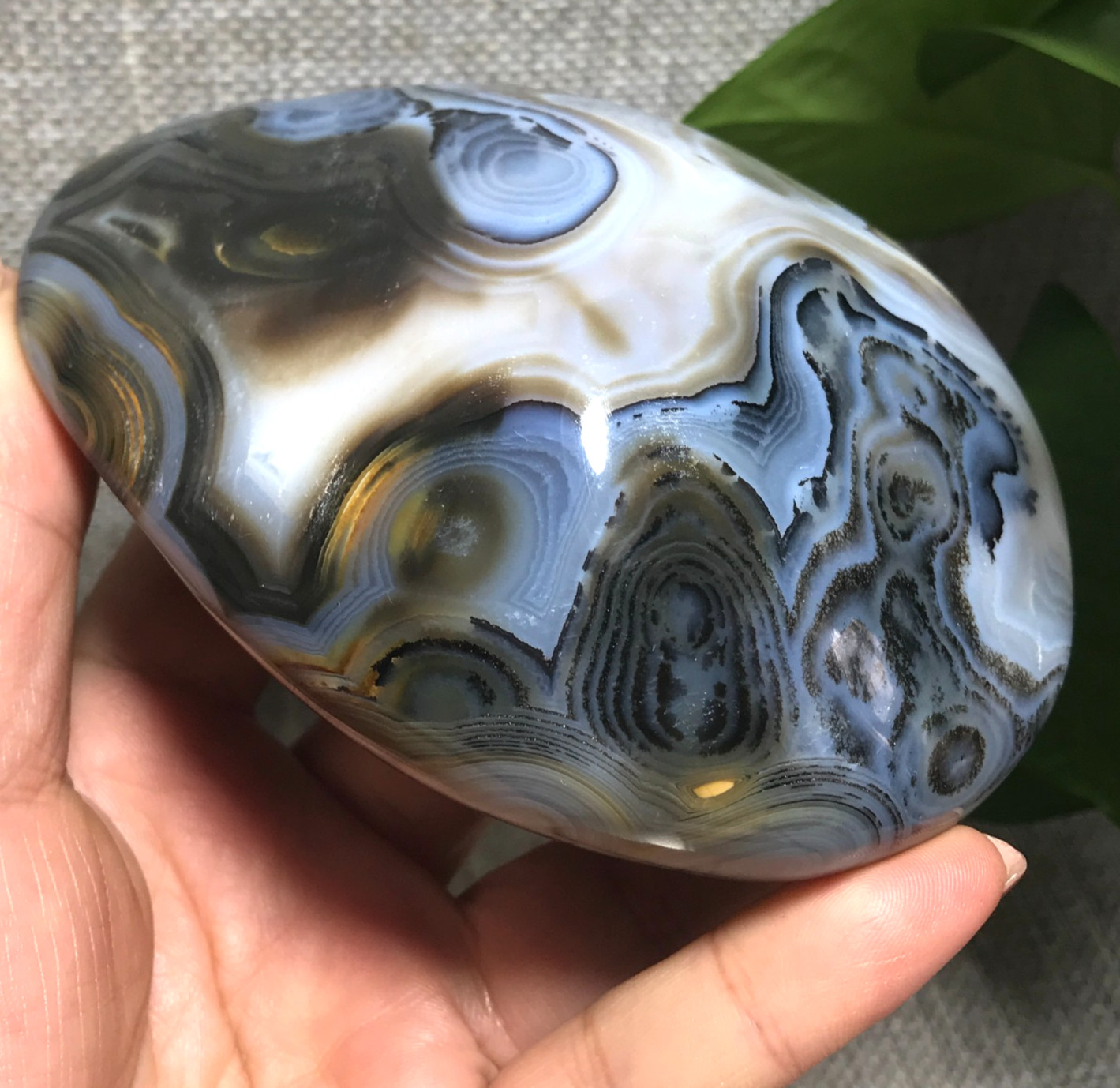 376g Natural Aquatic Plants Agate Ink landscape painting ornament Madagascar 23