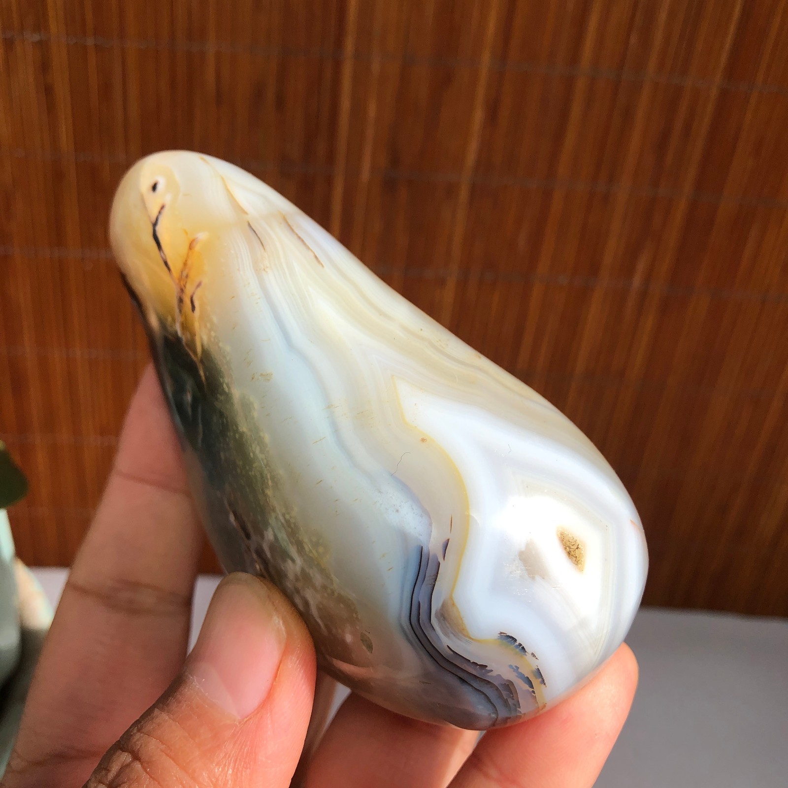 80mm Natural aquatic plants agate pretty Crystal specimens 235g A1485