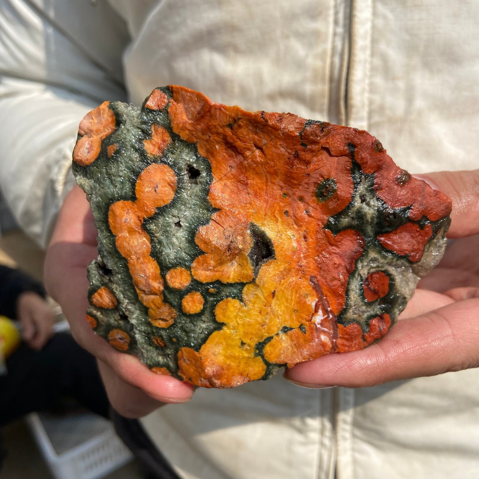1lb Natural colourful ocean jasper raw stone crystal rough mineral specimen