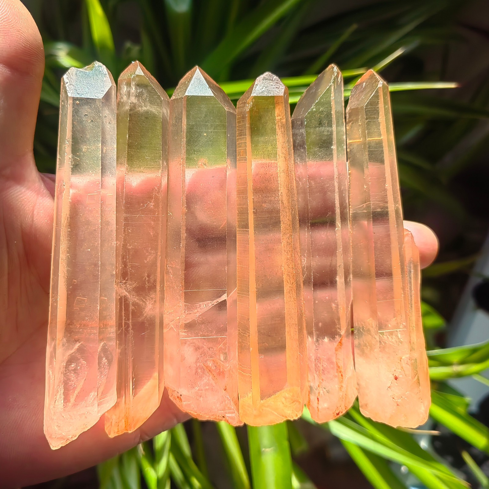 333g6pcs Natural Crystal Quartz Single Point wand Rough Original Specimens Dx177