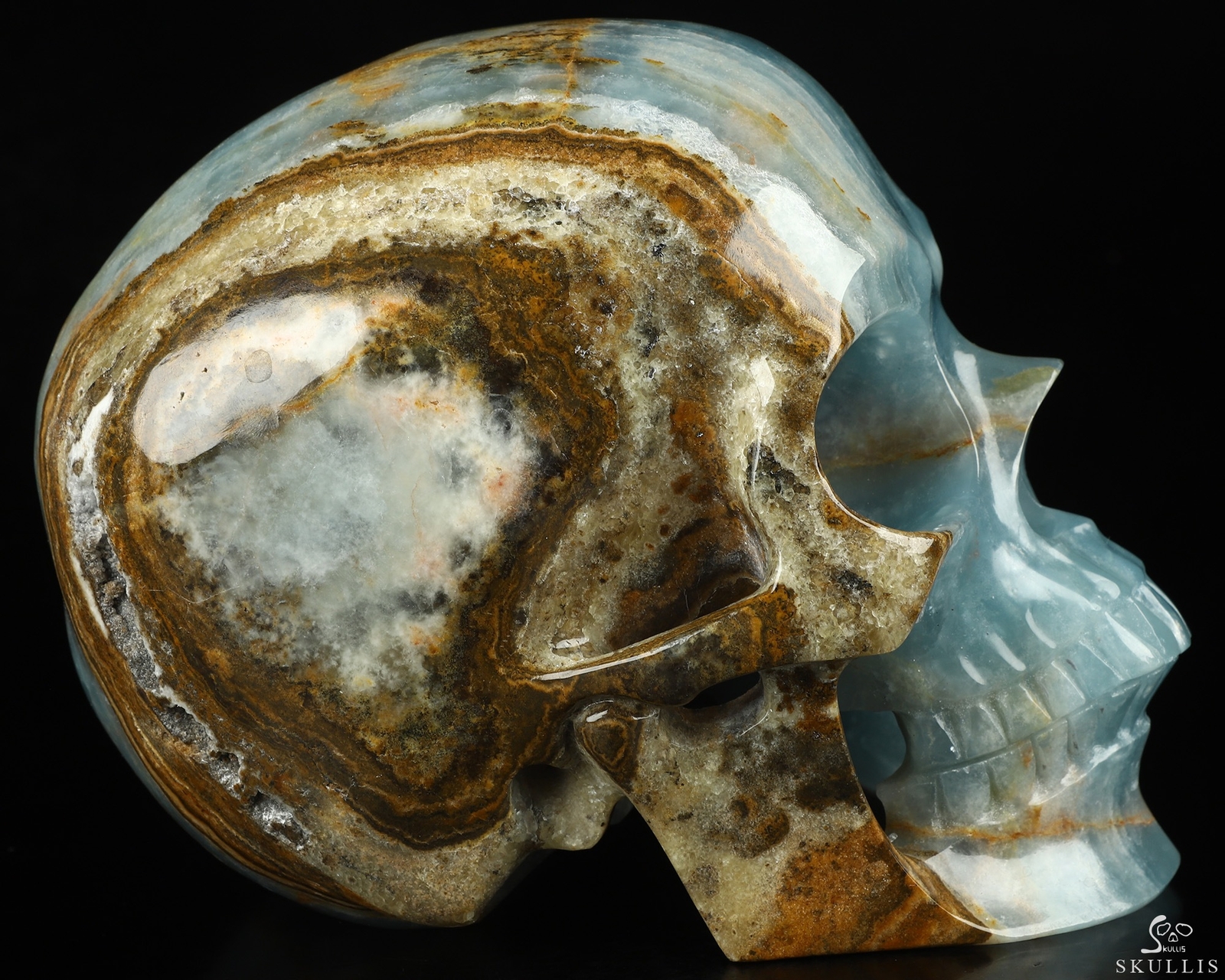 Super Realistic! Lifesized 7.0″ Blue Onyx Hand Carved Crystal Skull, Healing