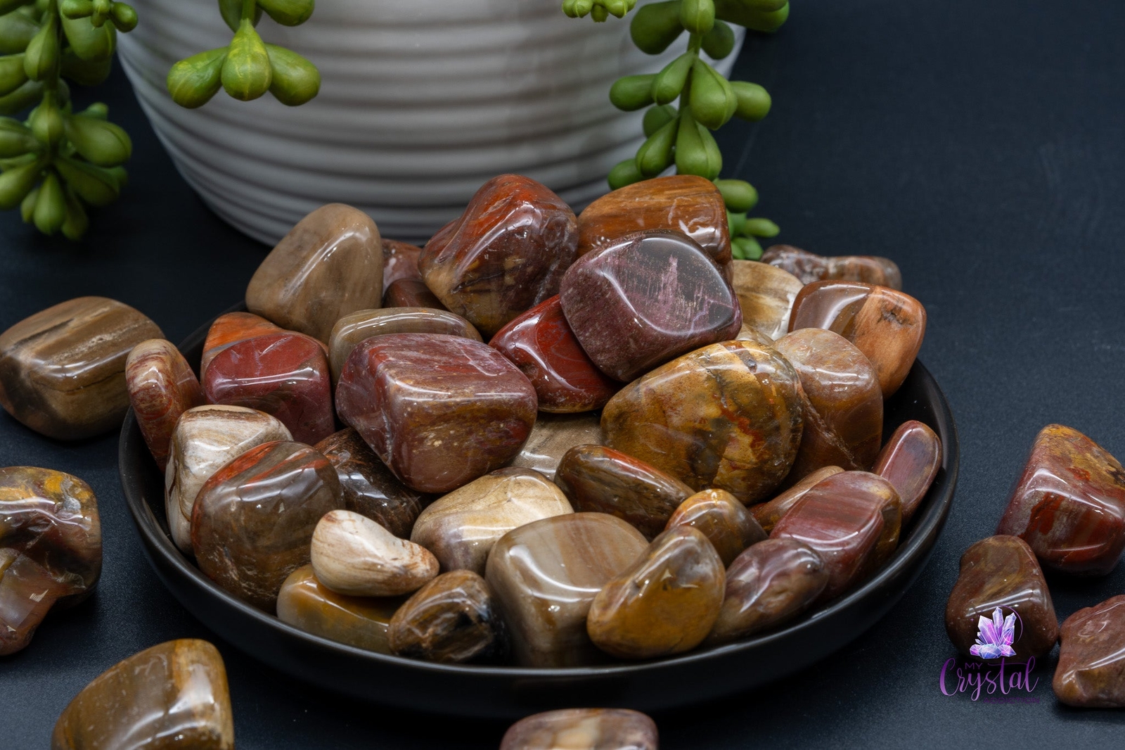 Petrified Wood Tumbles