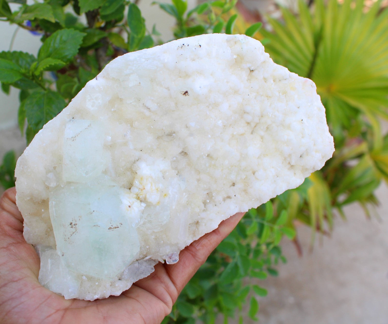 GREEN APOPHYLLITE CRYSTALS ON HEULANDITE MATRIX MINERALS SPECIMEN #A43