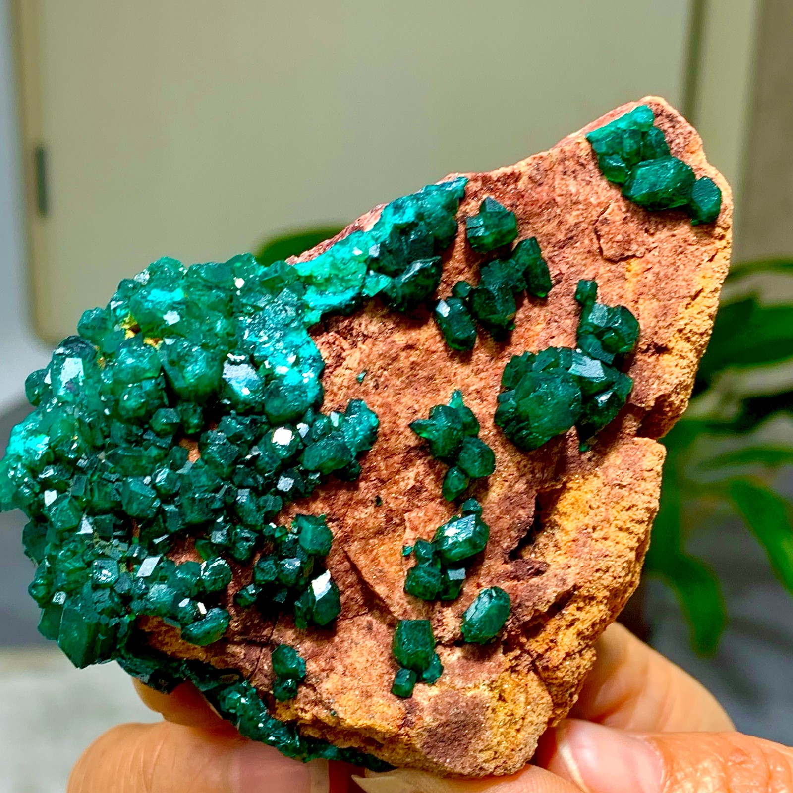 205G Natural Deep Green Grainy dioptase gemstone cluster mineral specimen