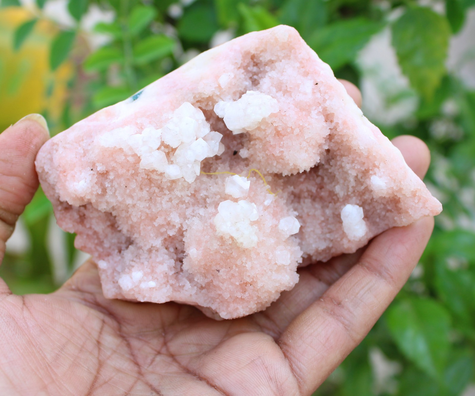 chalcedony coral on matrix minerals specimen #A43