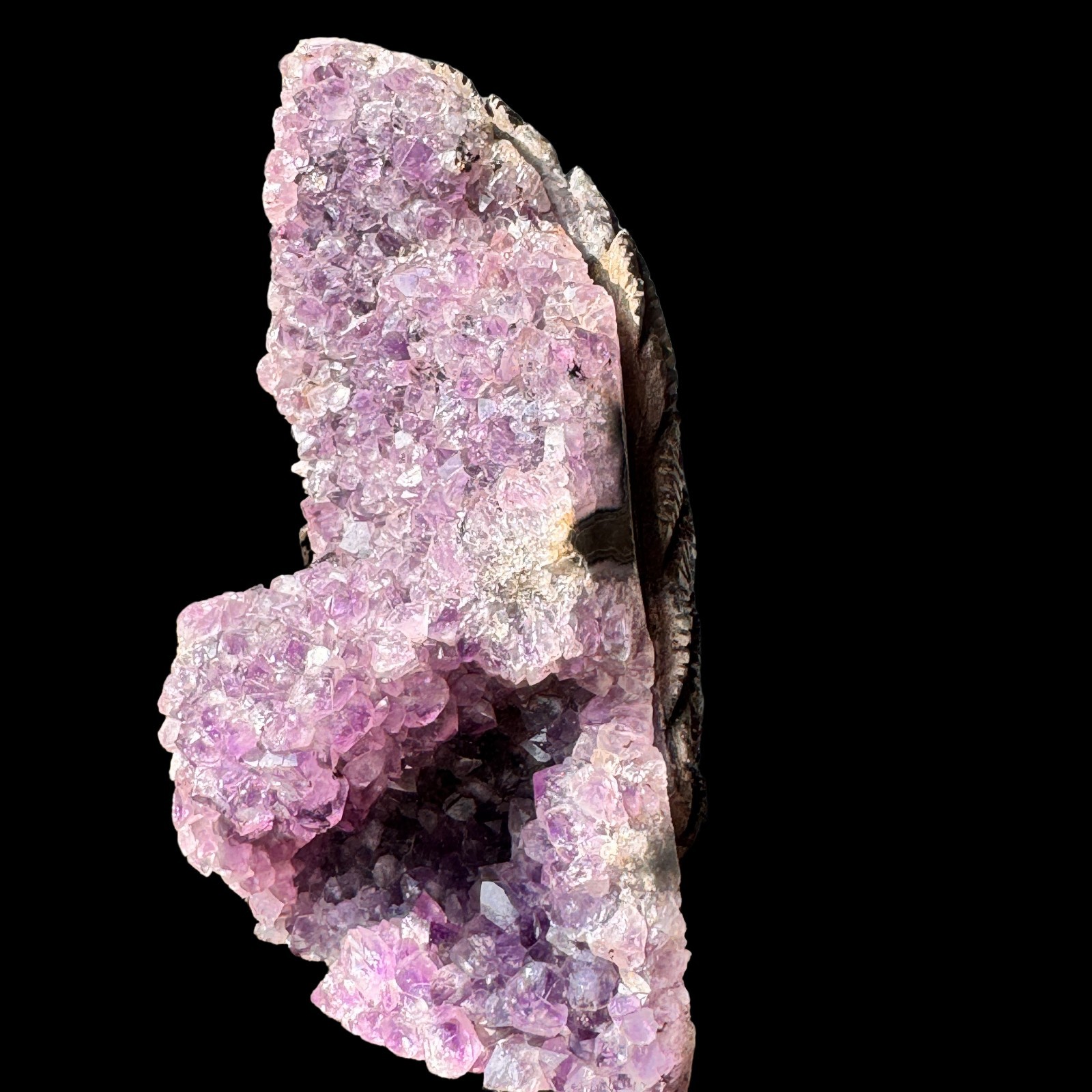 Violet Majesty: A Natural Amethyst Peacock Cluster, Free Shipping, Art of Earth