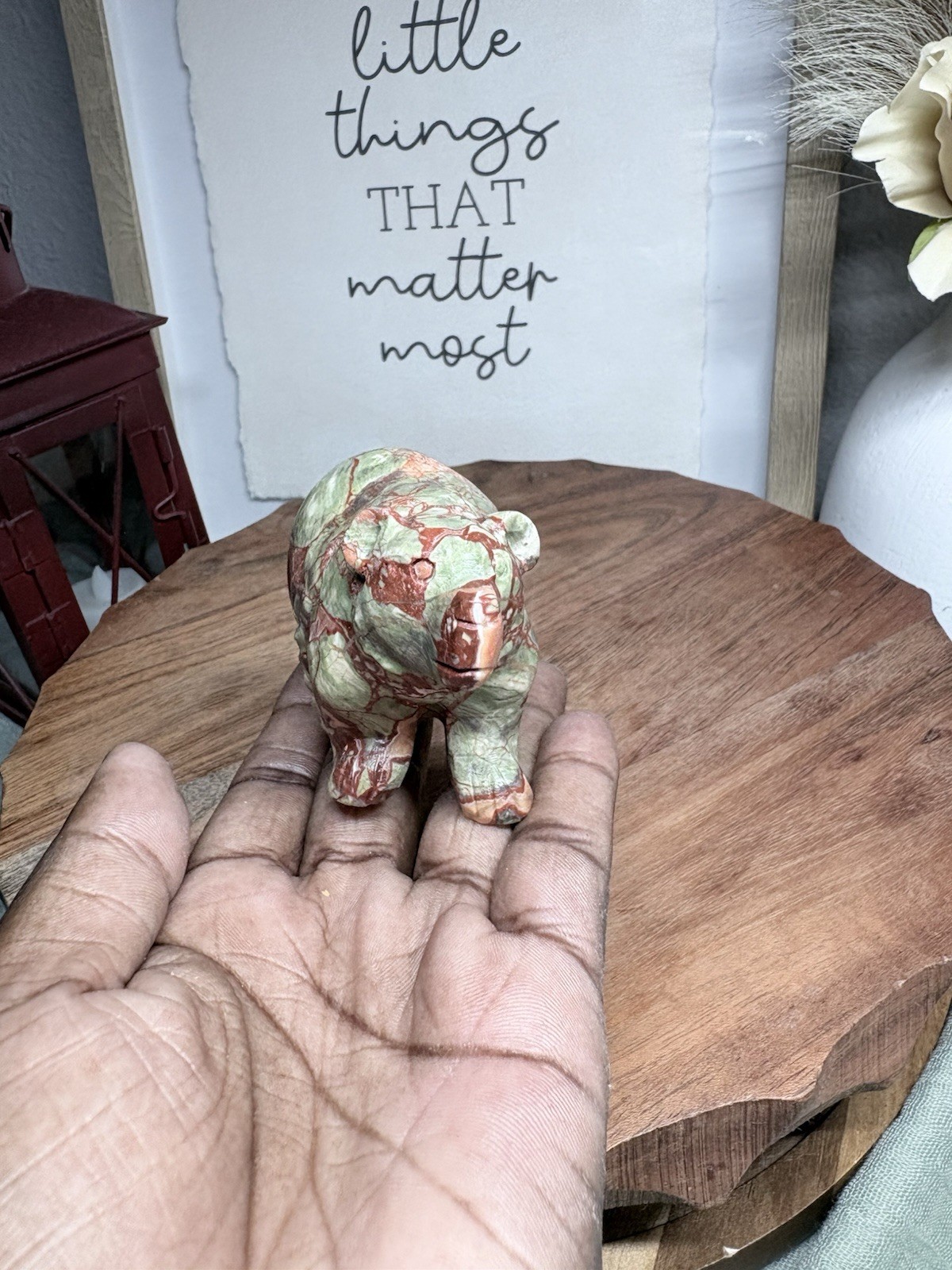 Carved Money Agate Marbled Bear