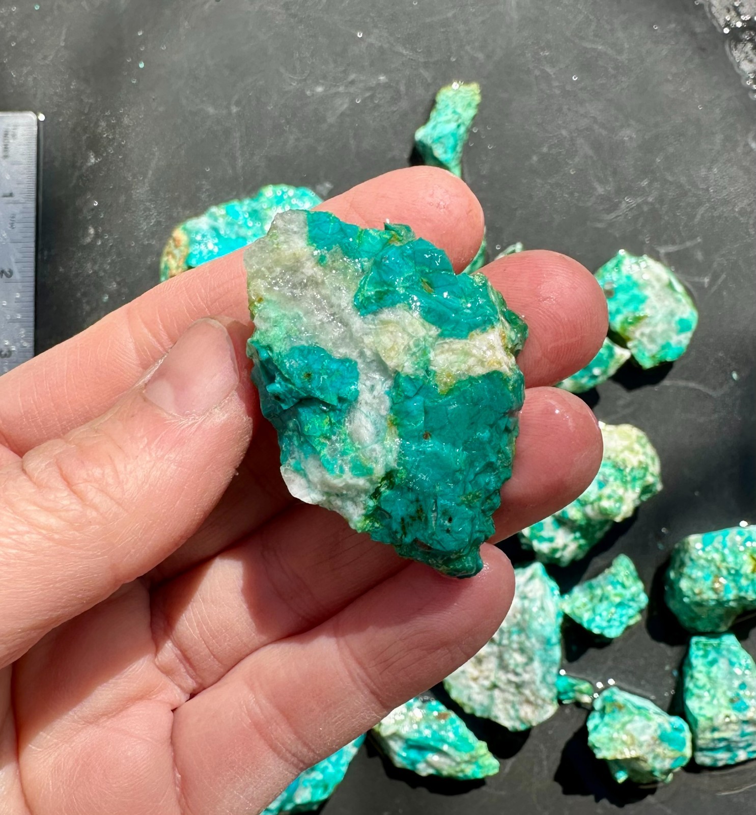 Natural Chrysocolla Rough 620 grams, Chrysocolla in Quartz for Tumbling Lapidary