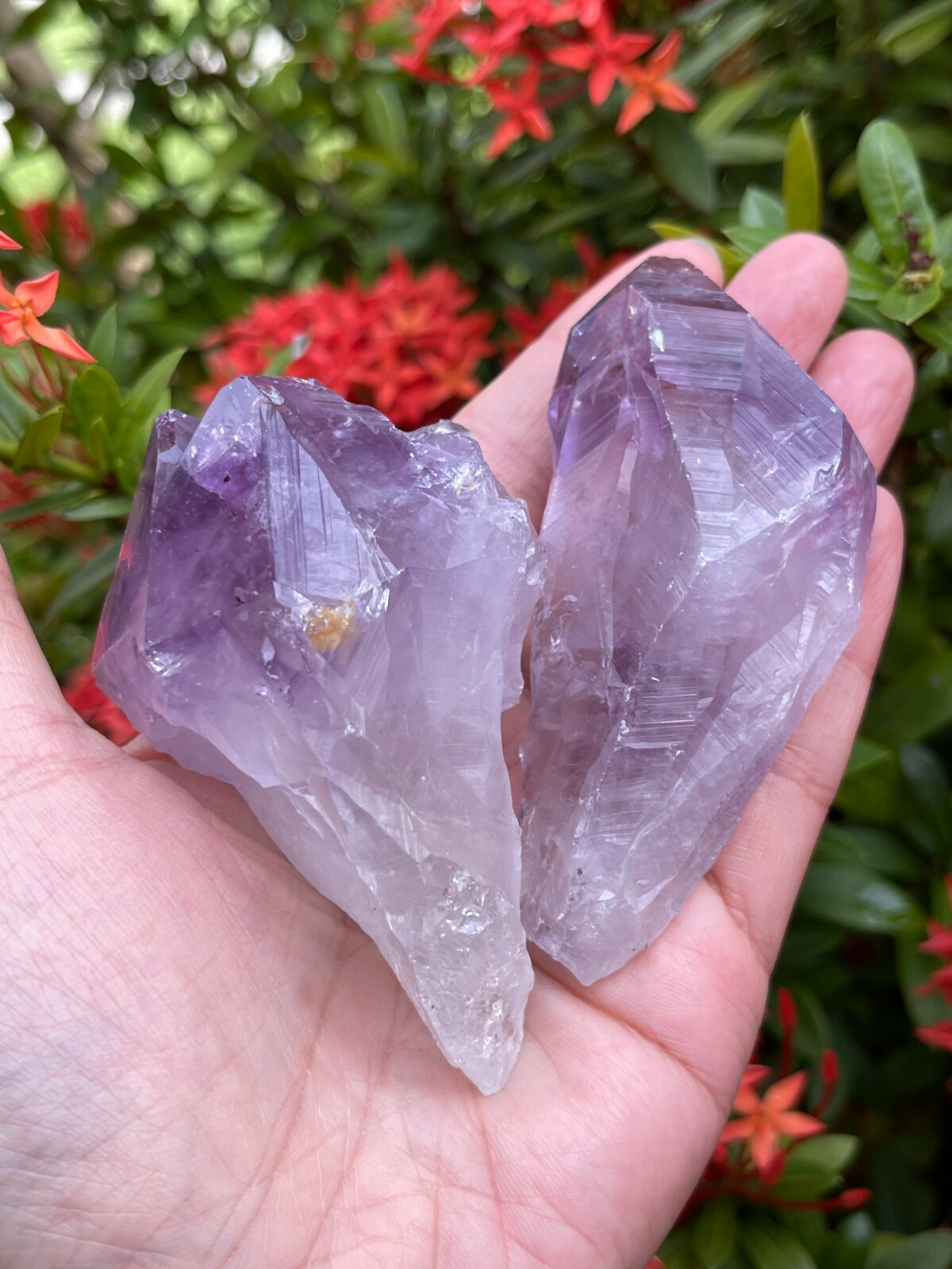 Extra Large Amethyst Rough Points, 2.5 – 3.25″ Raw Amethyst Points, Bulk Lot