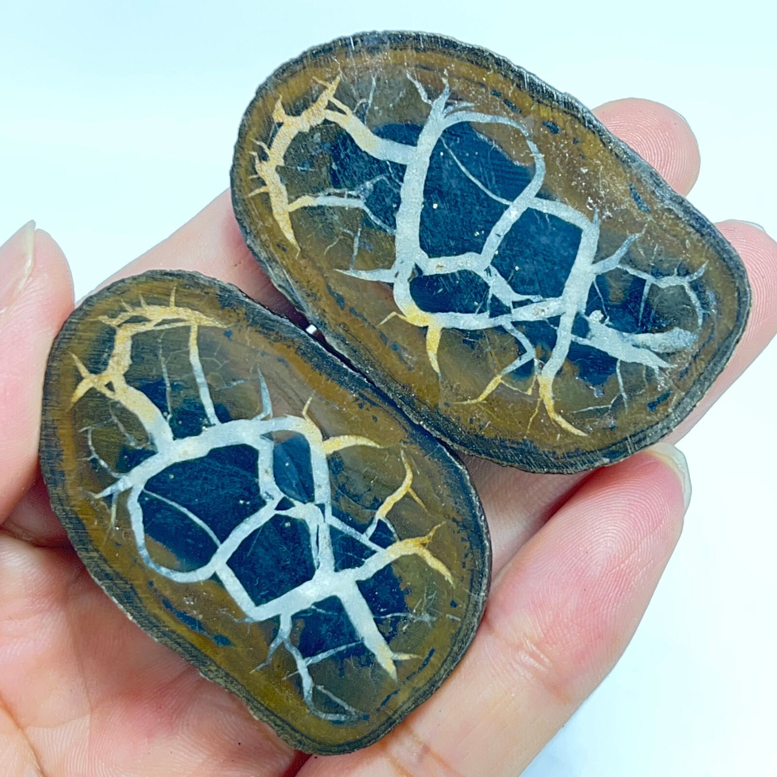 62G Natural Crystal Moroccan Turtle Back Stone Cutting Quartz Energy Spirit