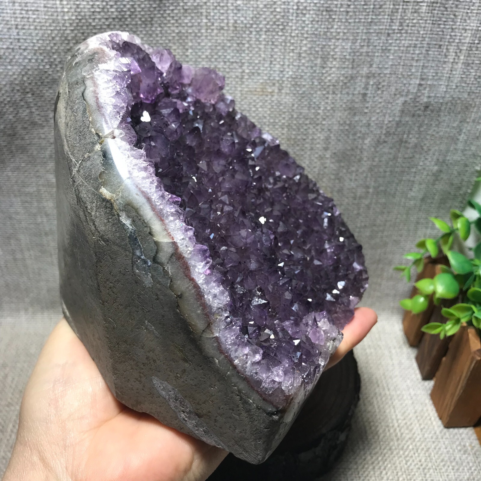 1570g Natural Amethyst Cluster Geodes Cut Base Quartz Crystal Healing 33