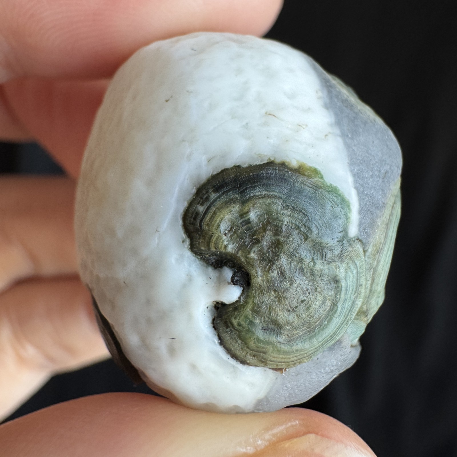 3.1cm/28.2g Natural Big Alxa Gobi Desert Relief Eye Agate,Mongolia-1023
