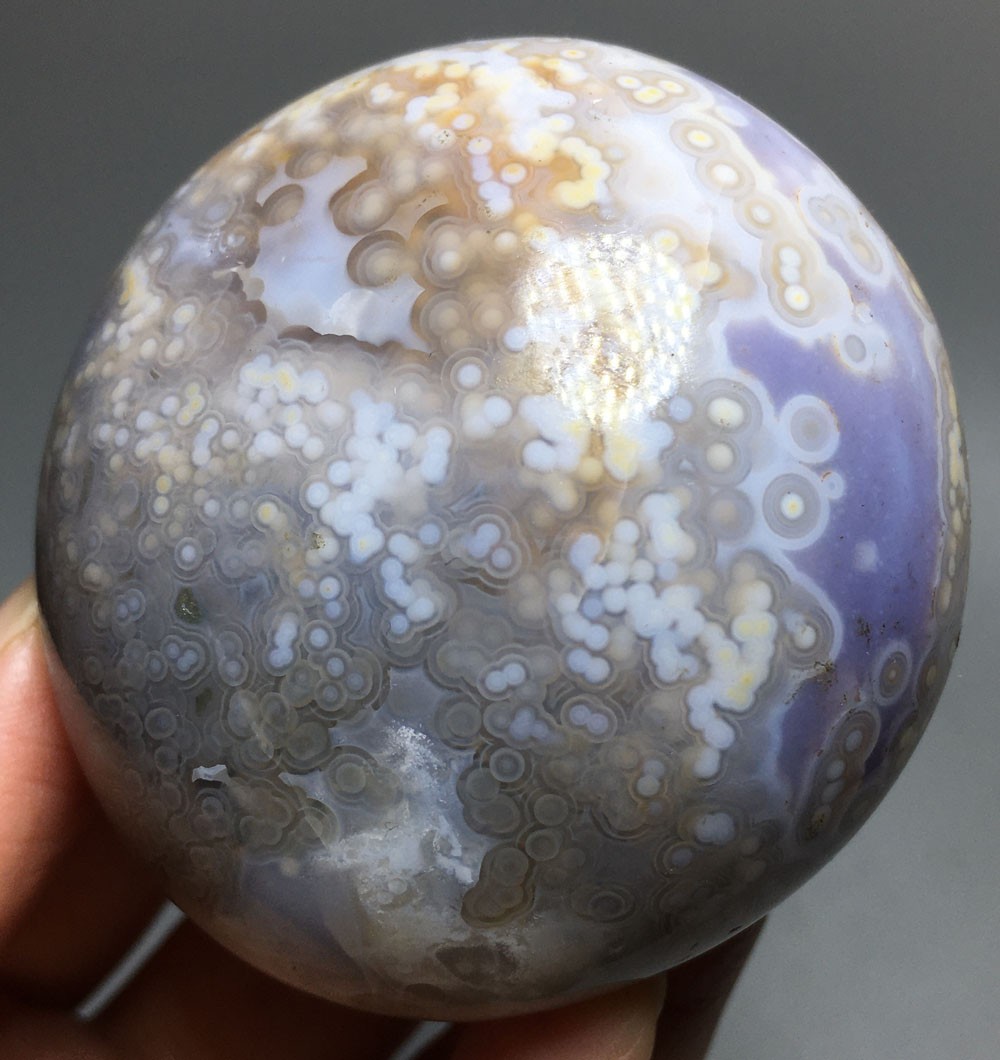 146g NATURAL the 8th vein ocean jasper palm QUARTZ CRYSTAL palm stone HEALING