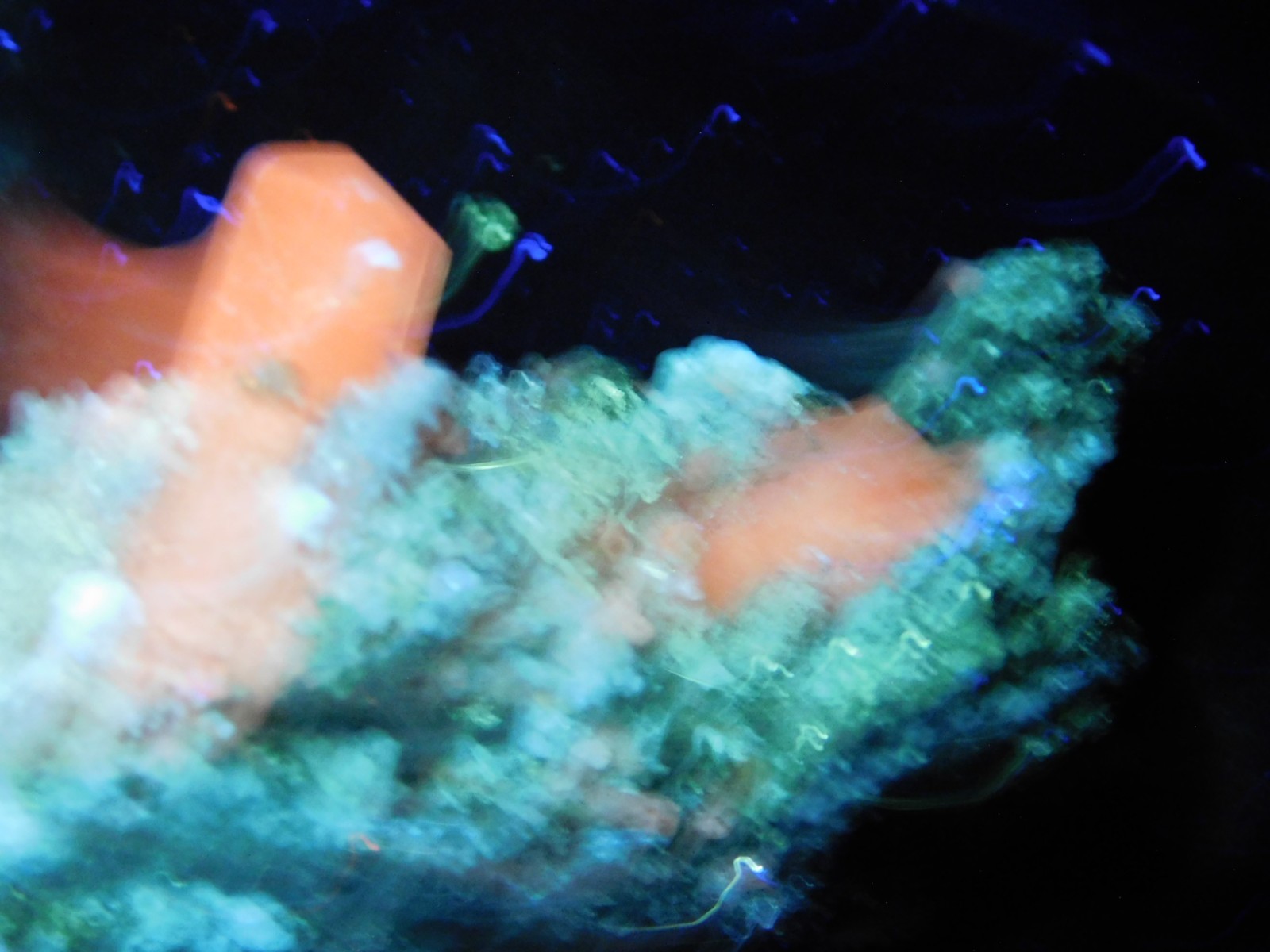 FLUORESCENT Calcite CRYSTAL Cluster on PYRITE Crystals Peru 125gr
