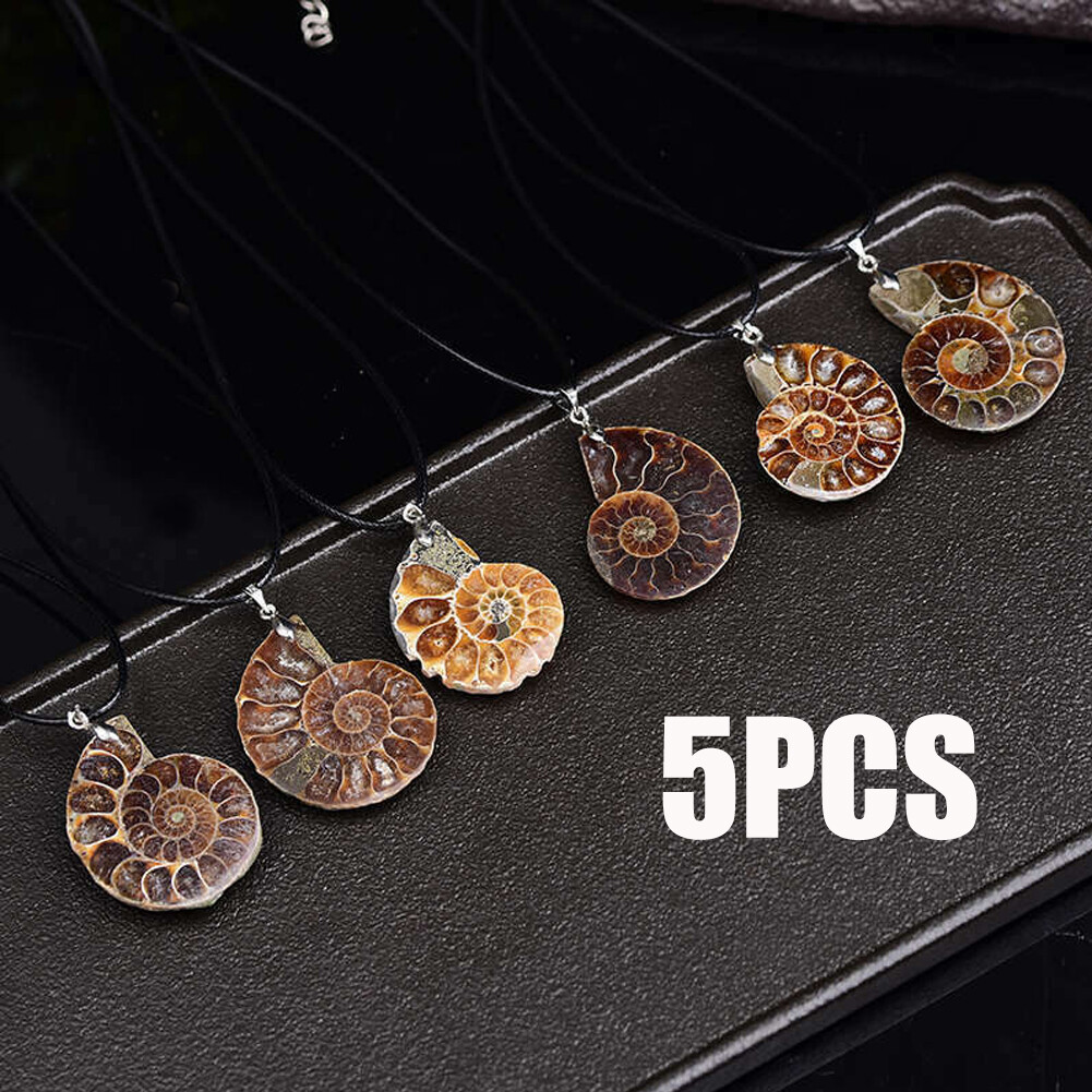 5PCS Natural Conch Fossil Quartz Crystal Pendant healing Mineral Necklace Decor