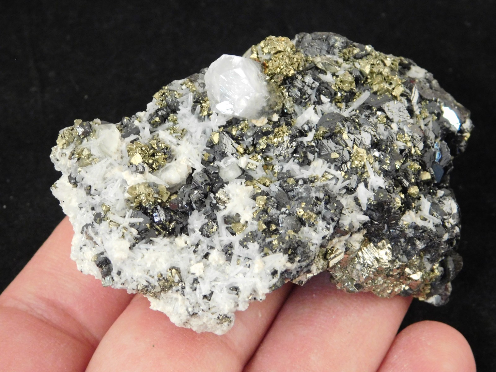 Sphalerite Crystal Cluster with Chalcopyrite Calcite and Pyrite 116gr