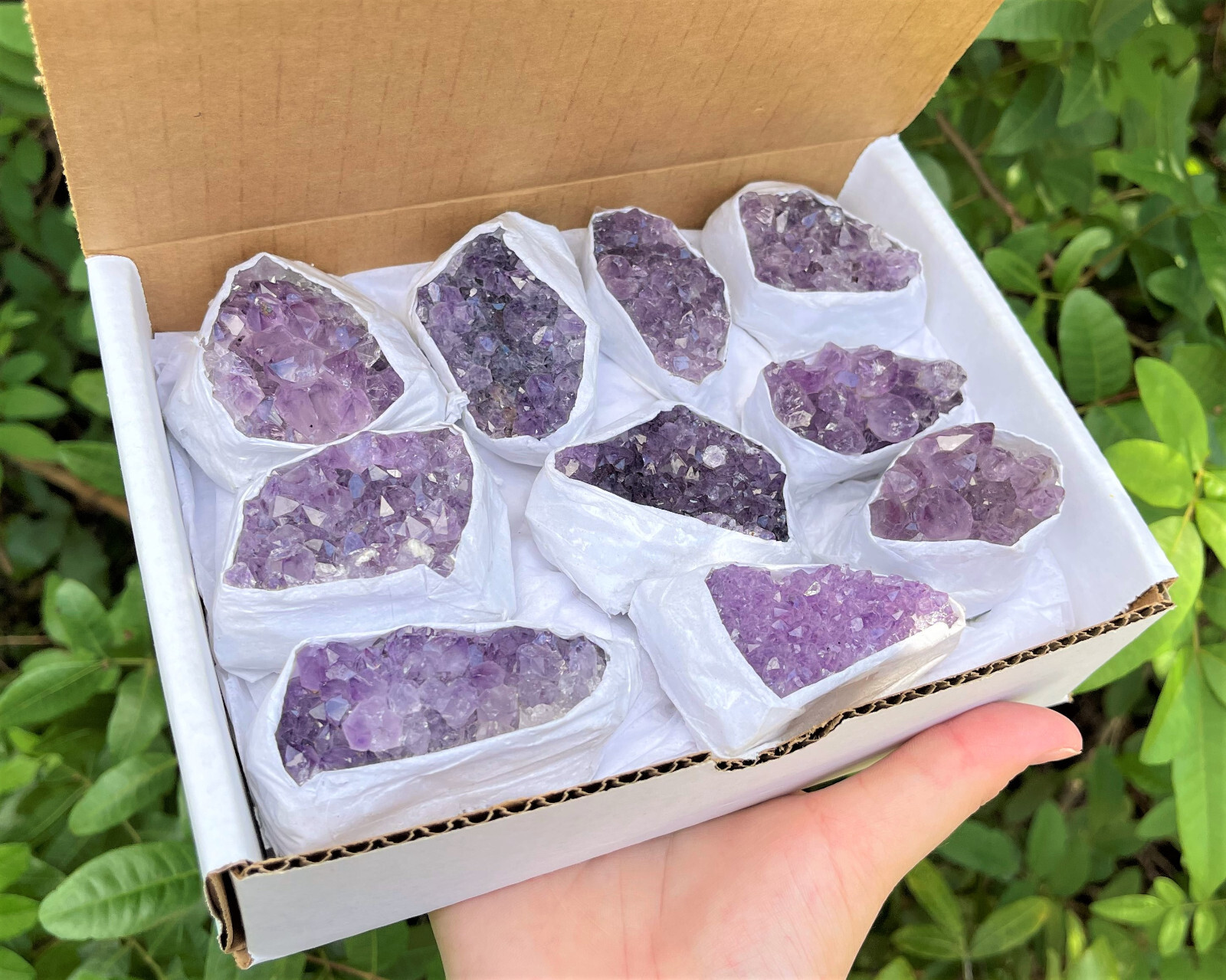 Wholesale Bulk Natural Amethyst Crystal Clusters: 10-16 Piece Lot (Quartz Geode)