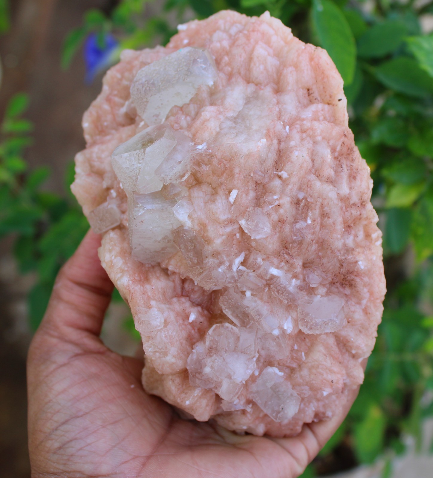 APOPHYLLITE CRYSTALS ON STILBITE NATURAL MINERALS SPECIMEN #A38