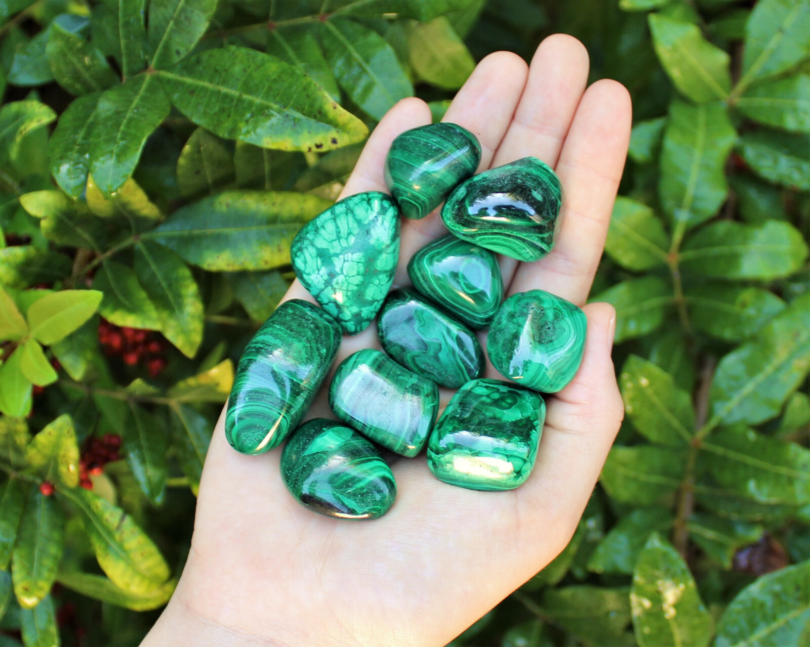 Bulk 1/2 lb Malachite Tumbled Stone: Crystal Healing Gemstone (1/2 Pound, 8 oz)