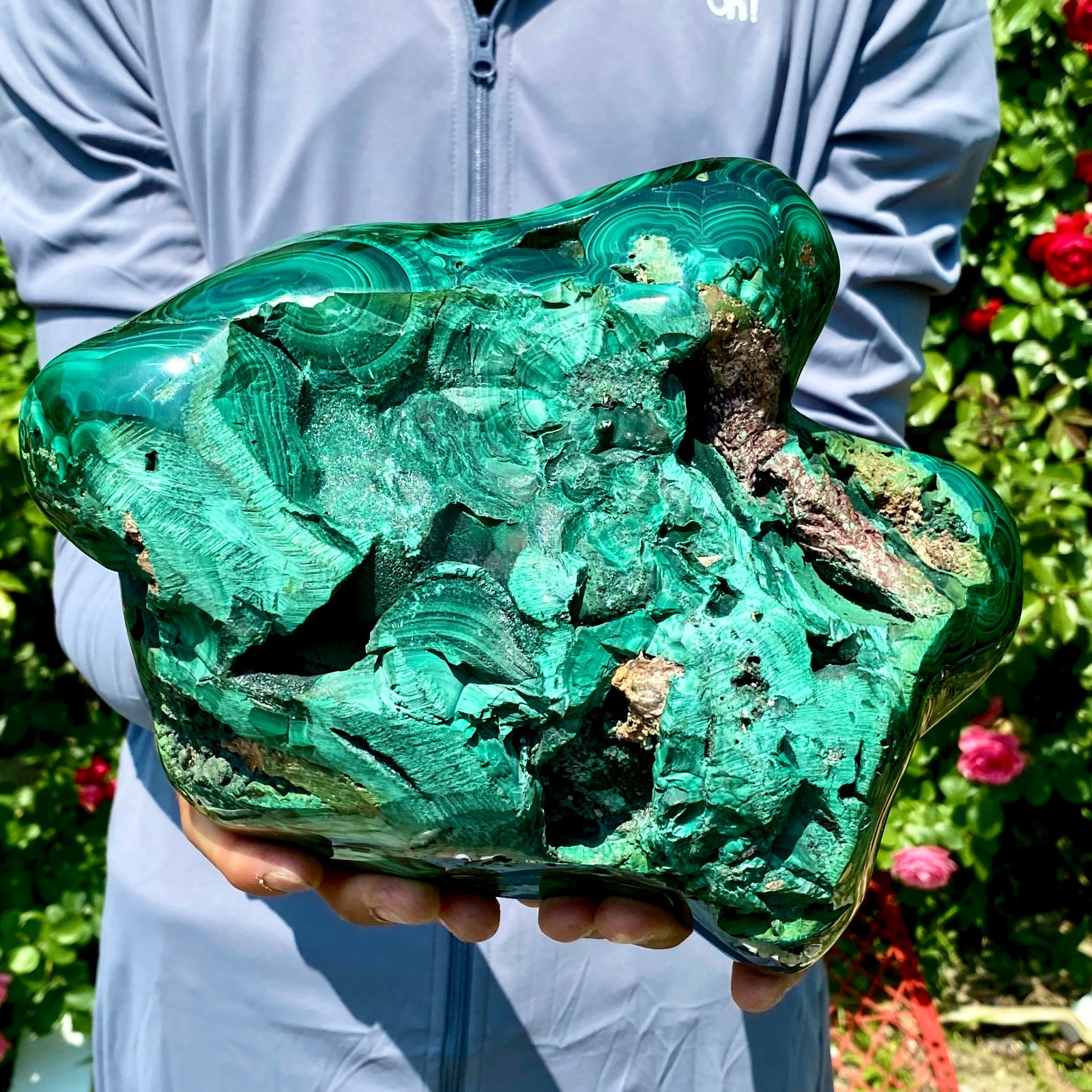 12LB Natural glossy Malachite egg transparent cluster rough mineral sample