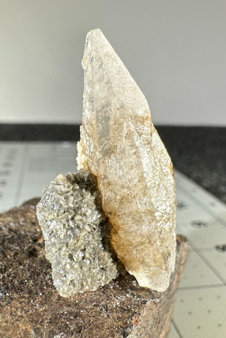 ➤ 1-1/2″ Tall SCALENOHEDRAL CALCITE Pleasant Ridge Rensselaer Indiana VIDEO➤697