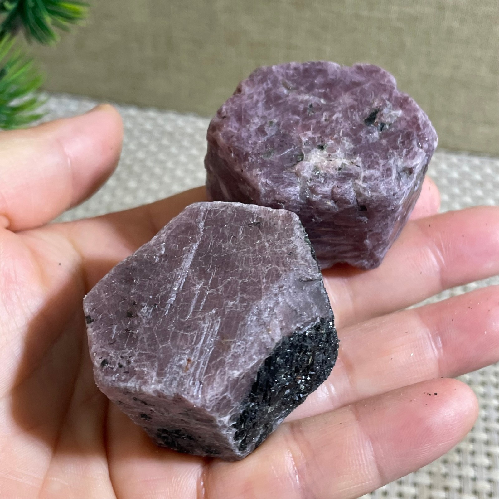 221g Natural Red Corundum Ruby Crystal Rough Mineral Specimen reiki Healing 2pcs
