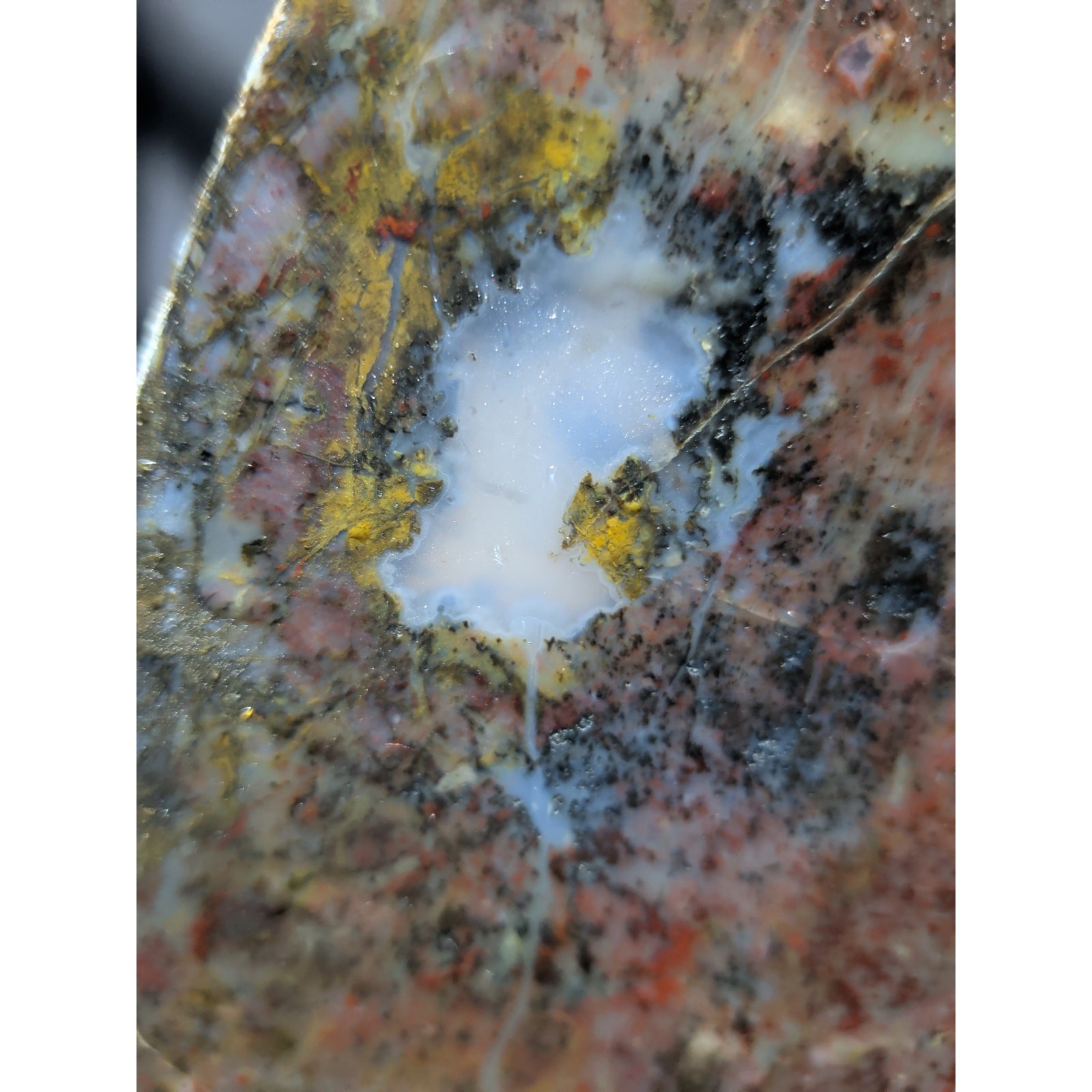 Jasper Dendric Multicolored Polished Slab Specimen (165 Grams)